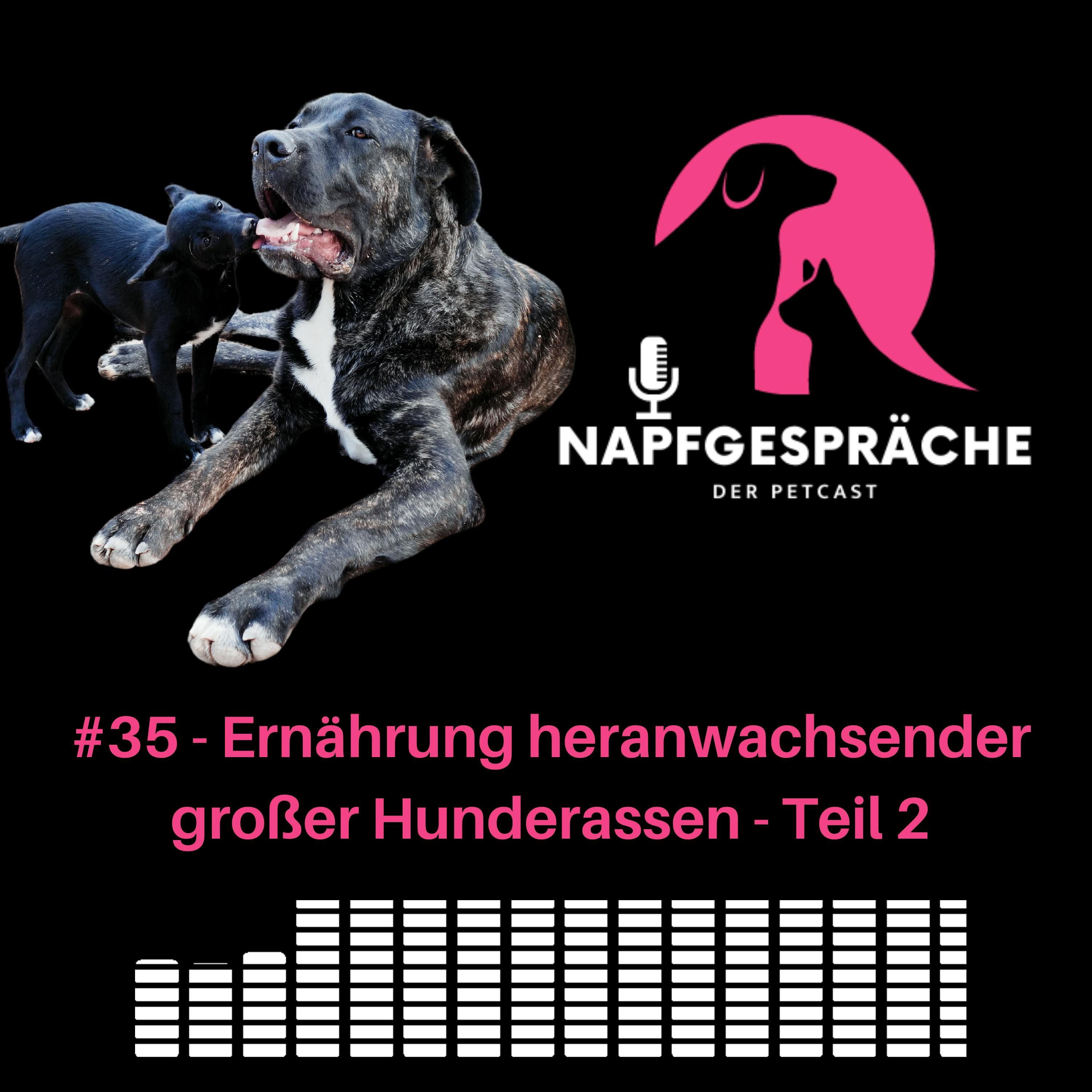#35 - Ernährung heranwachsender großer Hunderassen Teil 2