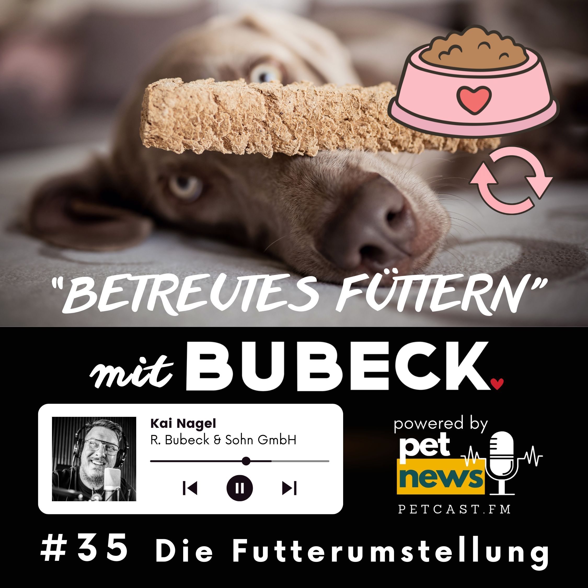 #35 - Futterumstellung beim Hund