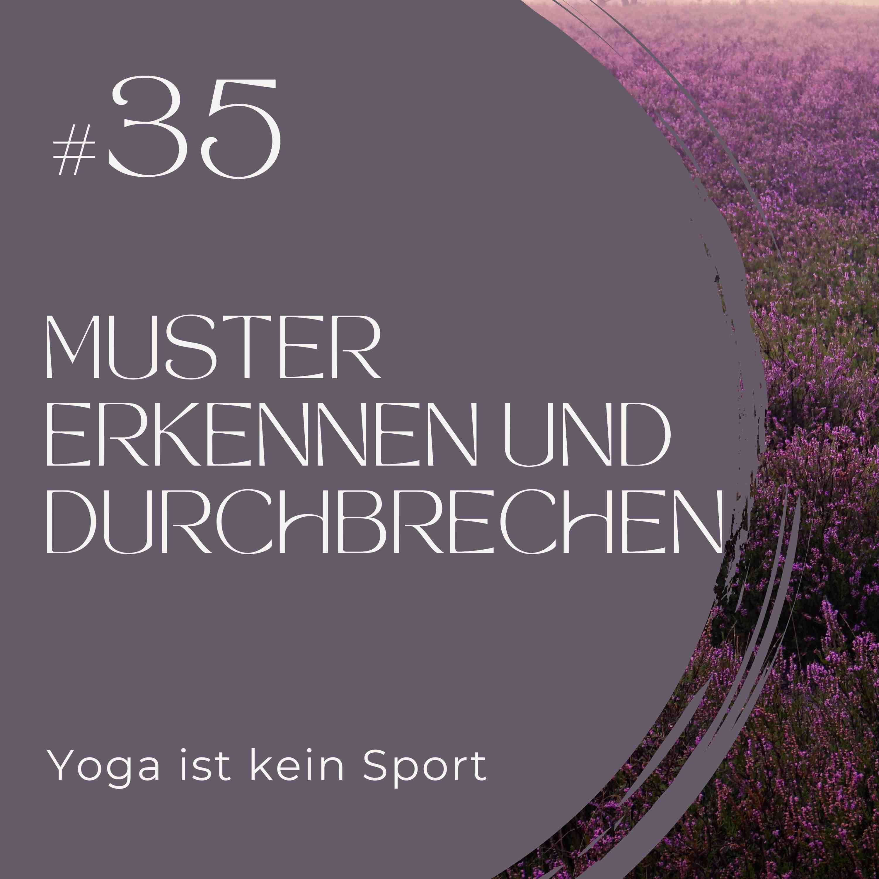 #35 Muster erkennen und durchbrechen