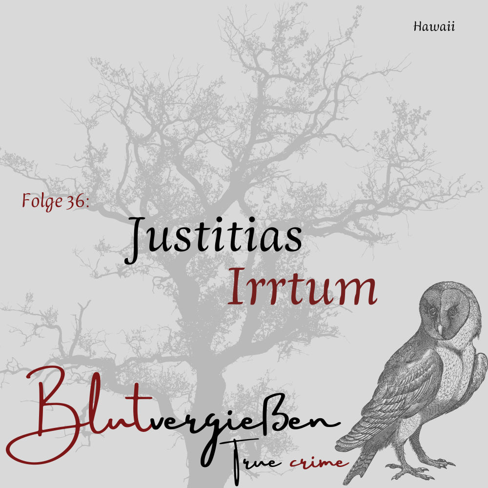 #36 Dana I. - Justitias Irrtum