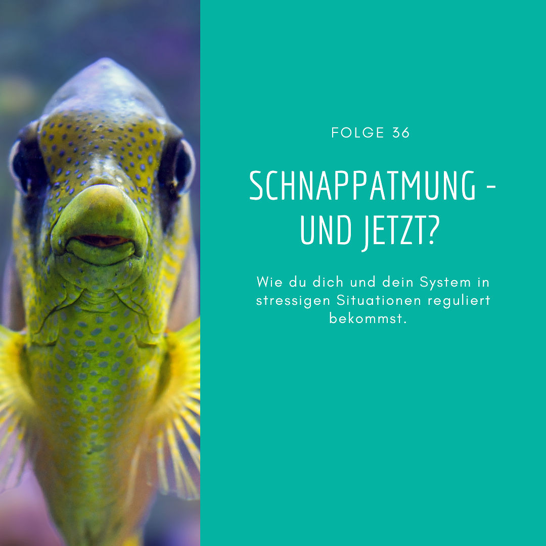 36 - Schnappatmung - und jetzt?