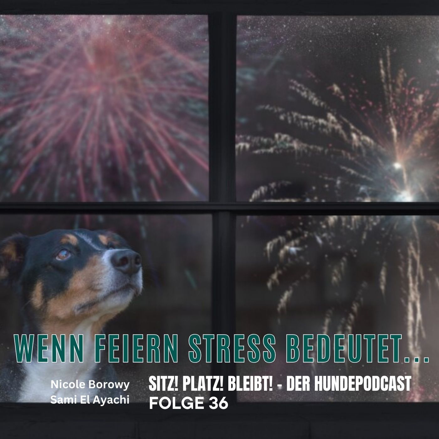 #36 Wenn feiern Stress bedeutet....