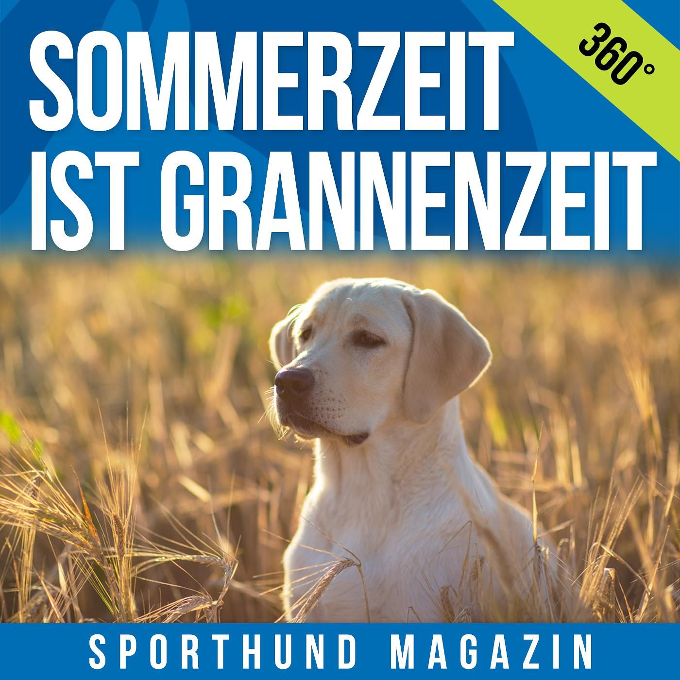 360°: Grannen, Hotspots, Wasserrute