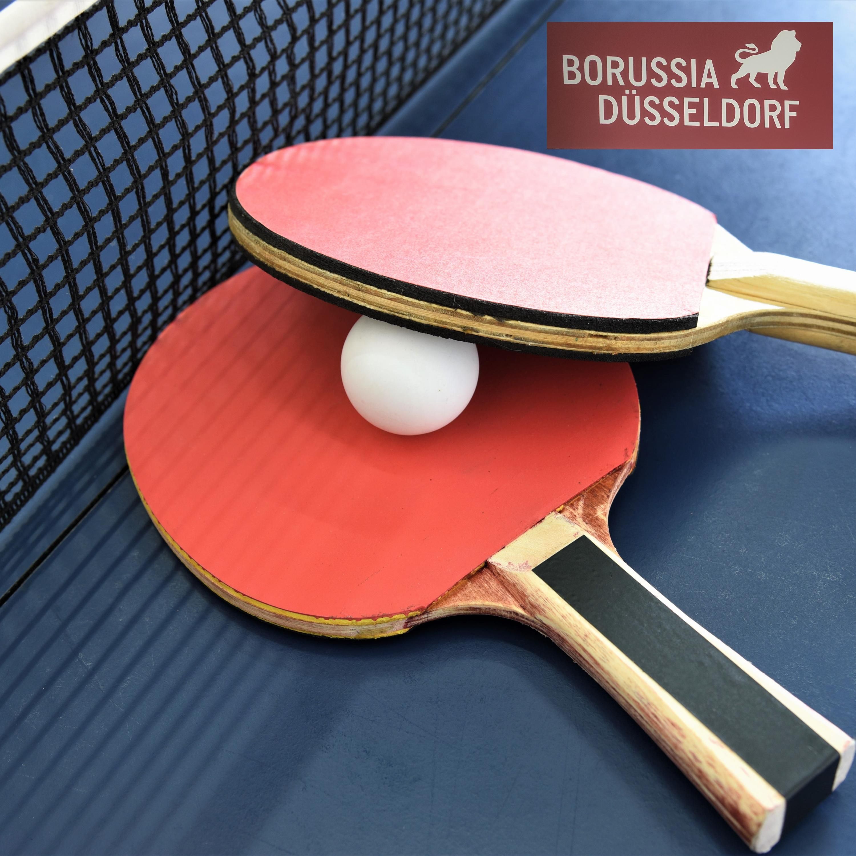 368 - DiaCup 2024 Düsseldorf