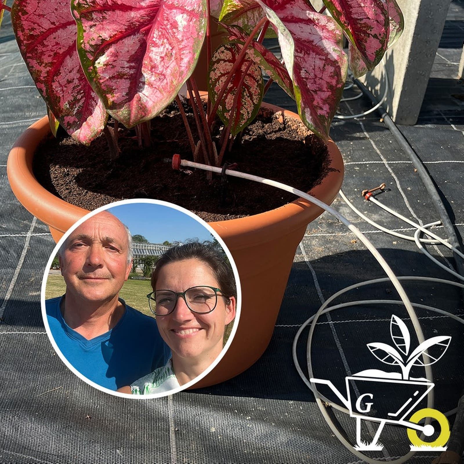 #37: Automatische Bewässerung für Garten und Balkon