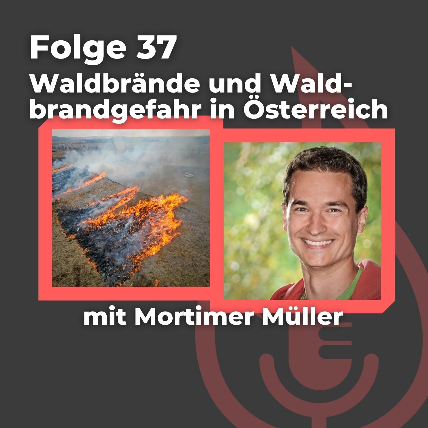 #37: Waldbrände und Waldbrandgefahr in Österreich