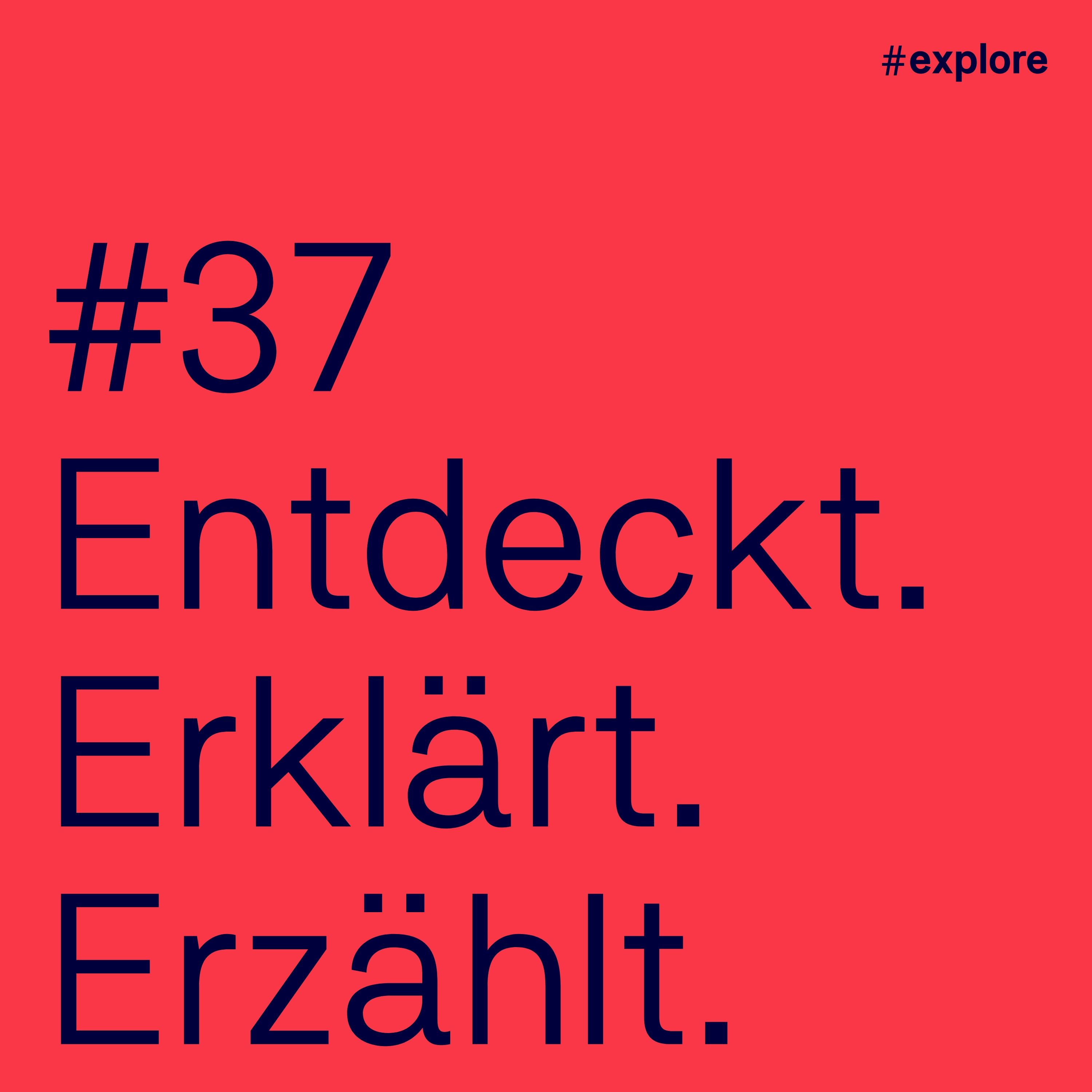 #37 – Wie divers sind deutsche Unternehmen, Wiebke Ankersen?