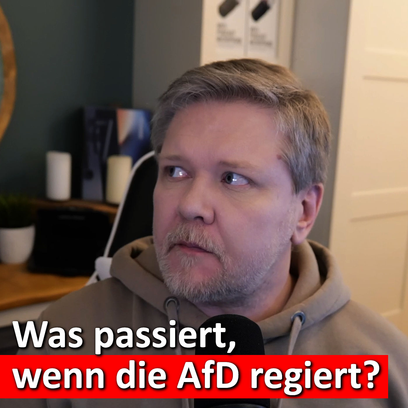 #367: Geheimes AfD Regierungsprogramm?