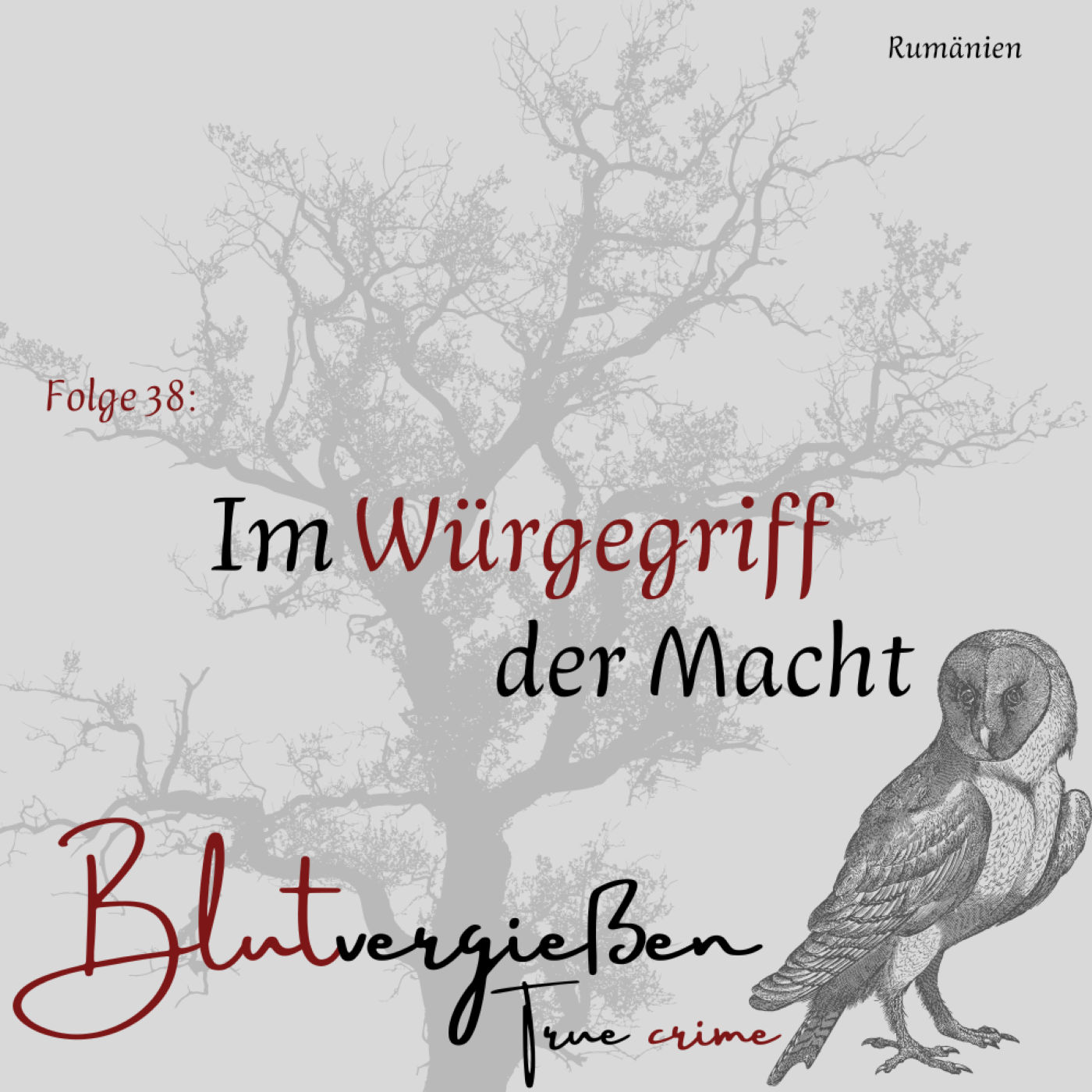#38 Nicolae C. - Im Würgegriff der Macht
