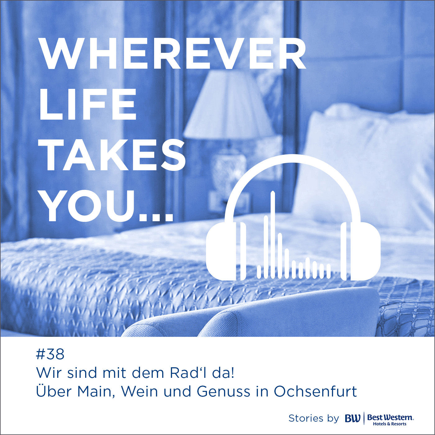 #38 Wir sind mit dem Rad'l da! Main, Wein und Genuss in Ochsenfurt