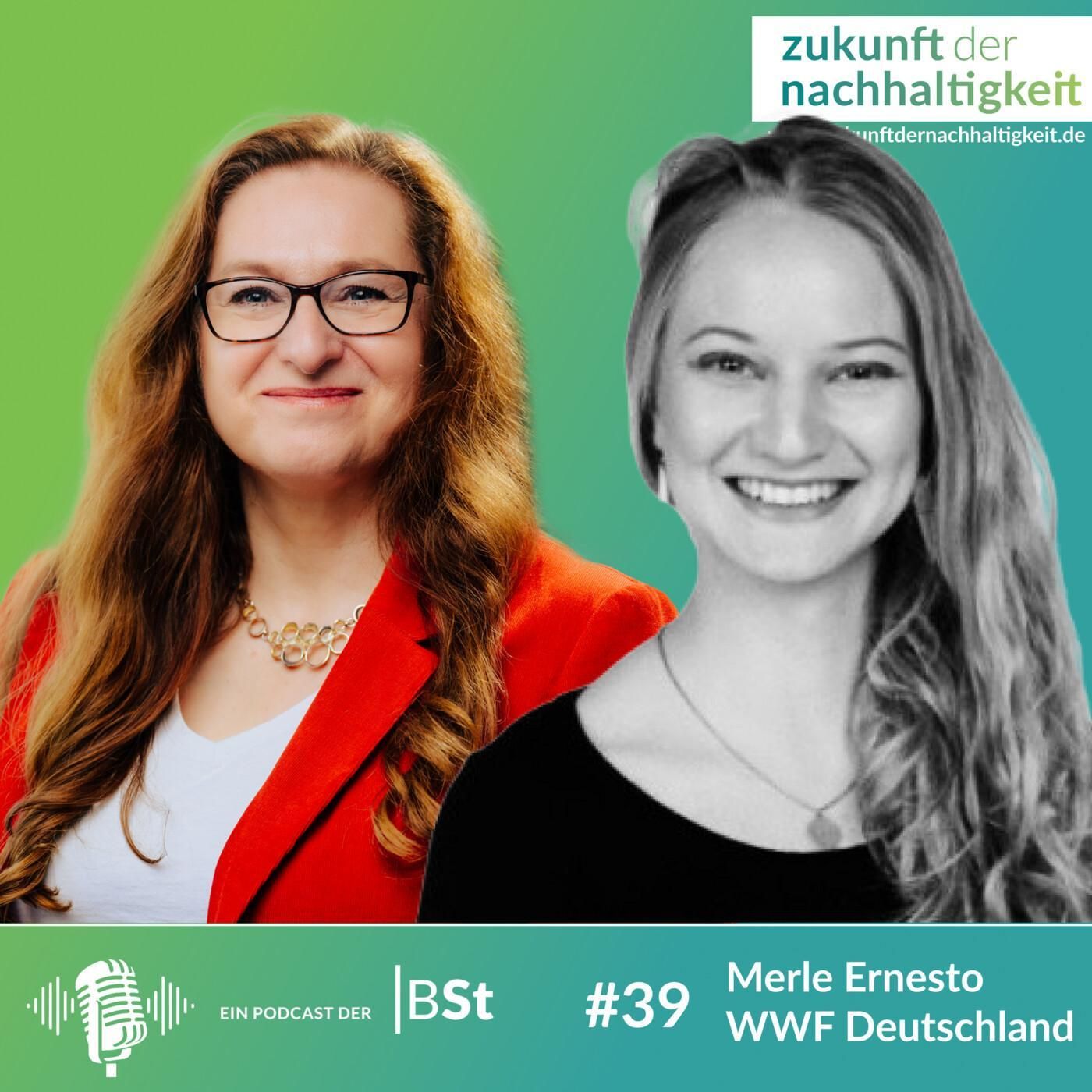 #39 - Selbstcheck: Wie zirkulär ist Ihr Unternehmen?