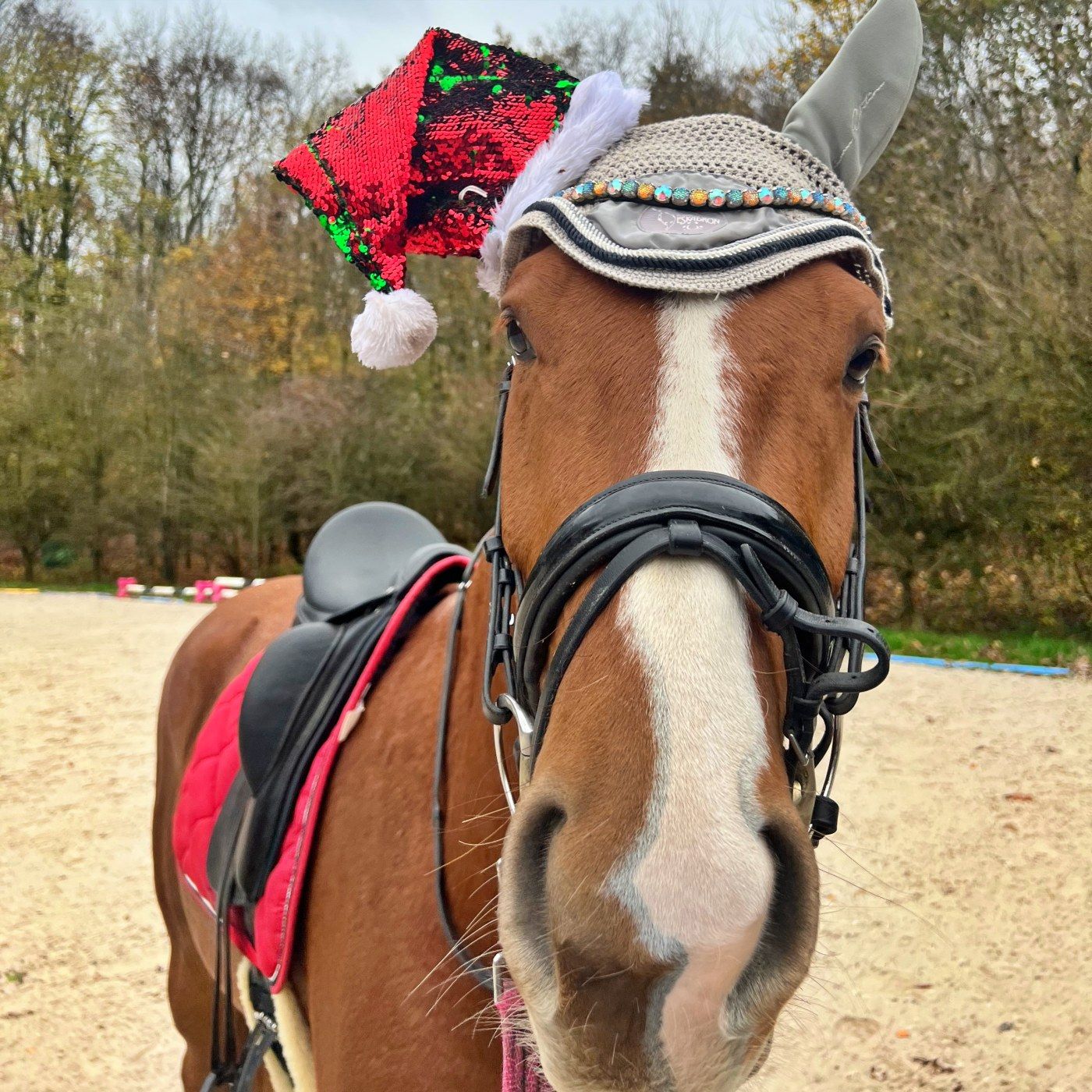 #397 Klartext: So sehen unsere Hörer die krassen Kukuk-Szenen