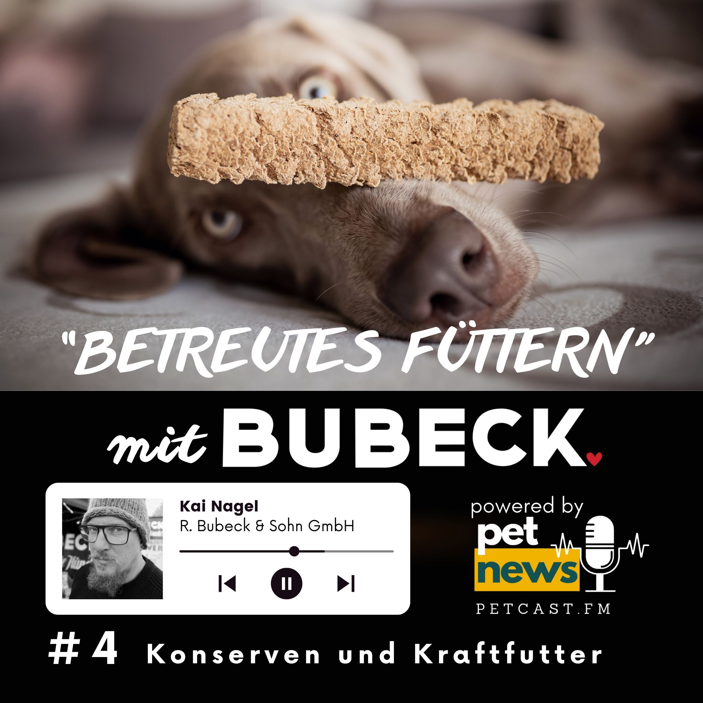 #4 - Bubecks Mischfutter in Dosen – Die Vollfleischkonserve