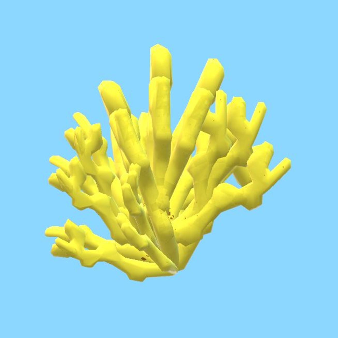 4 - Die Gelbe-Strahlende-Zauberkoralle