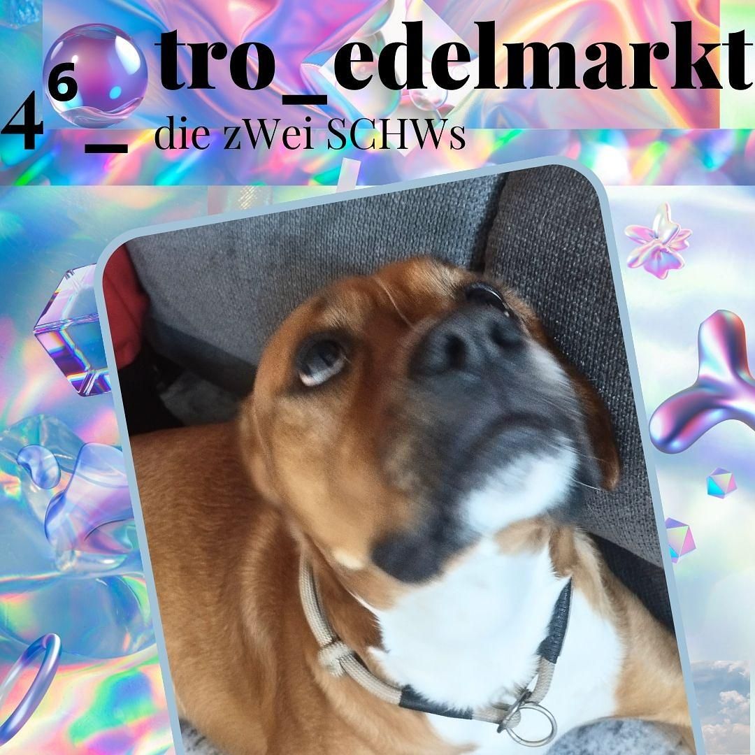 4⁶ _ die zWei SCHWs