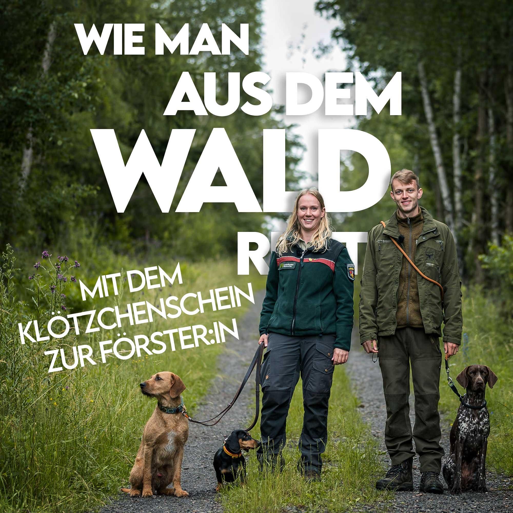 #4 Mit dem Klötzchenschein zur Förster:in