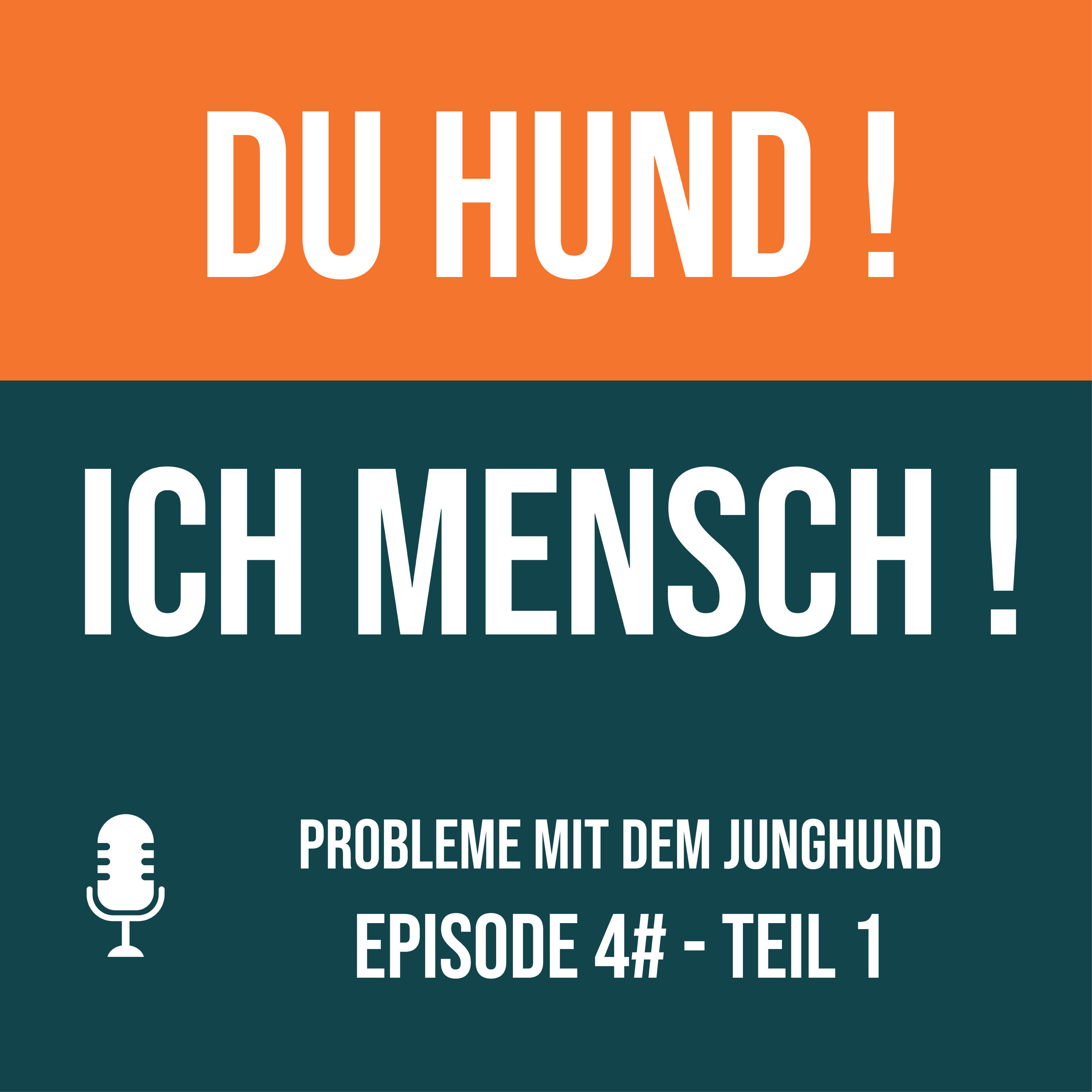 4# Probleme mit dem Junghund - Teil 1