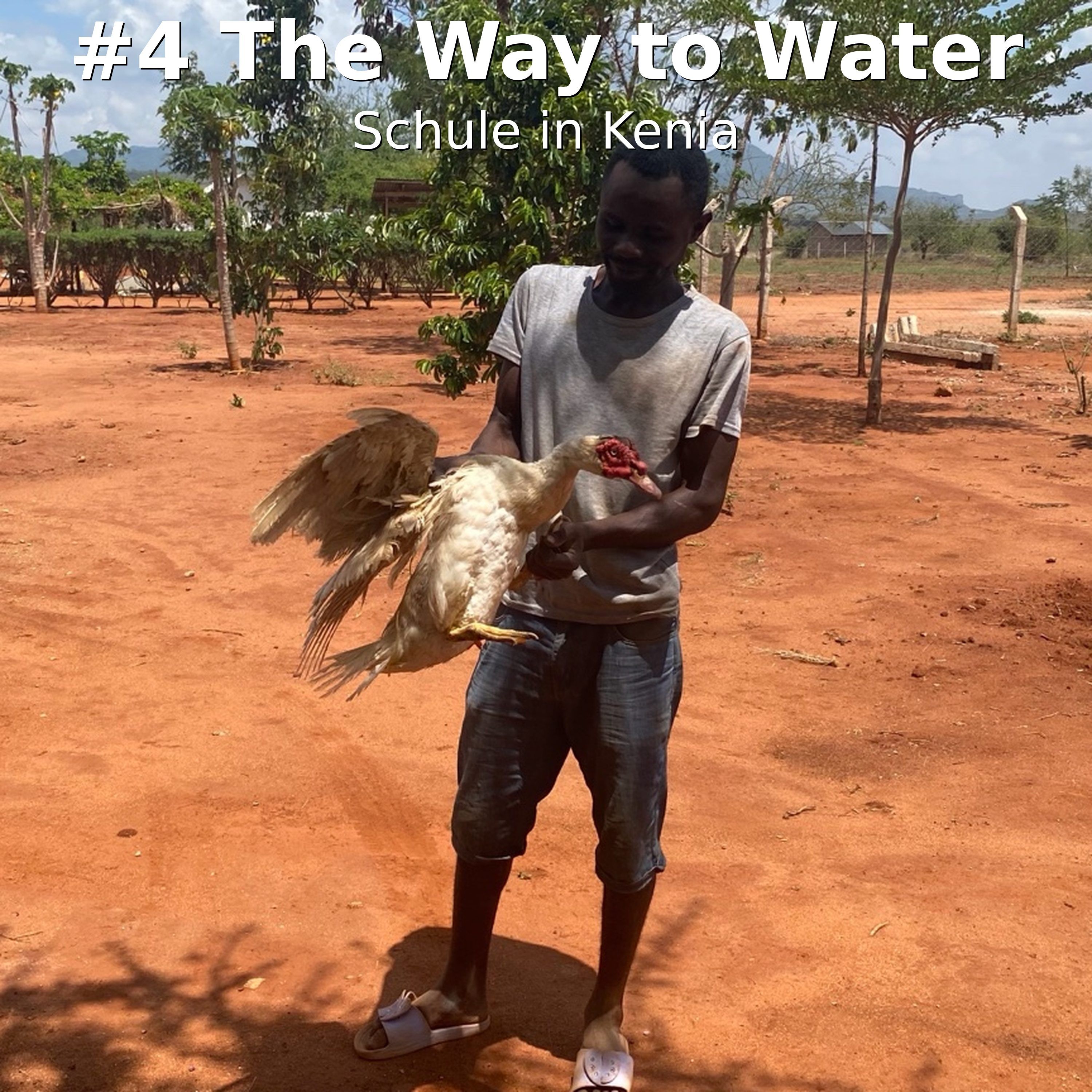 #4 The Way to Water: Lebensnahe Schule in Landi