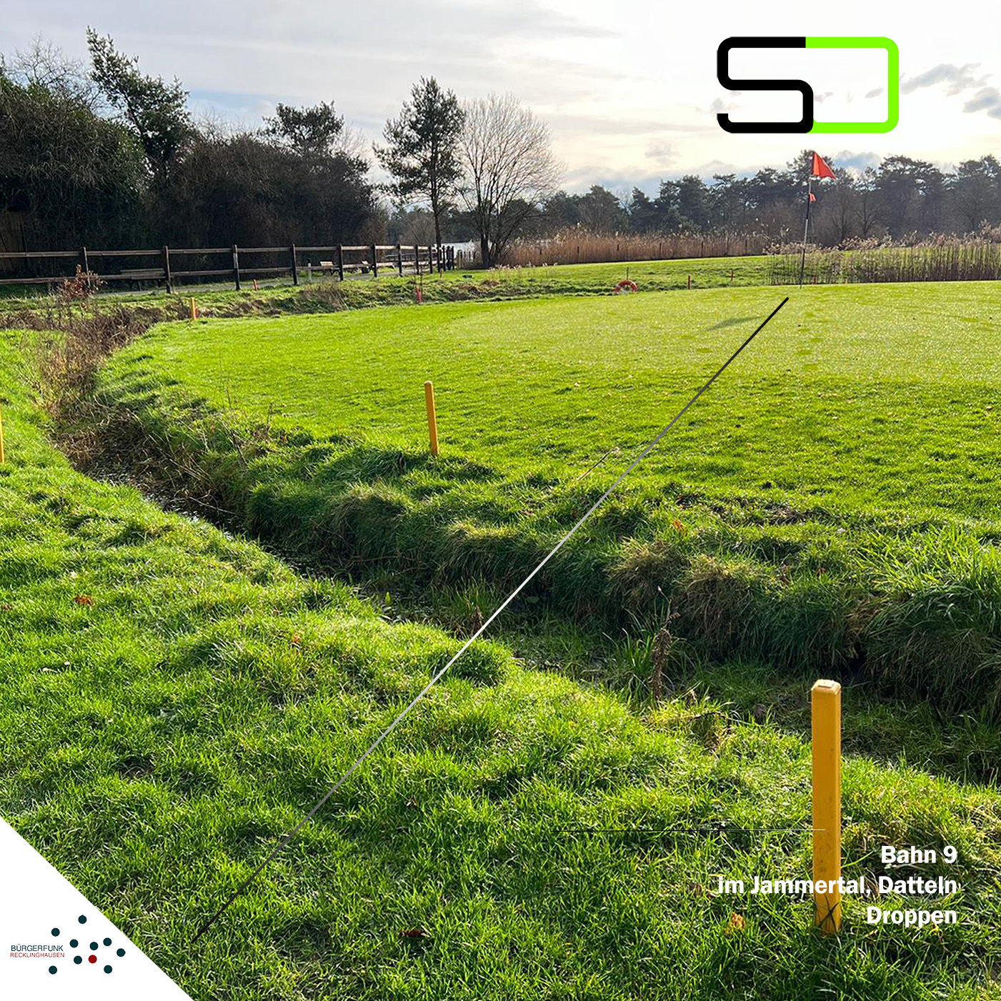 #40 - Goes und No-Goes