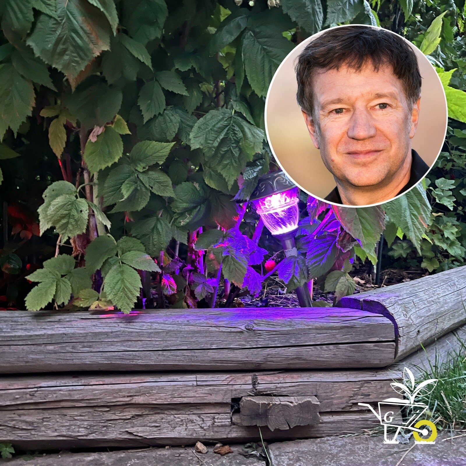 #40: Licht im Garten schadet Insekten