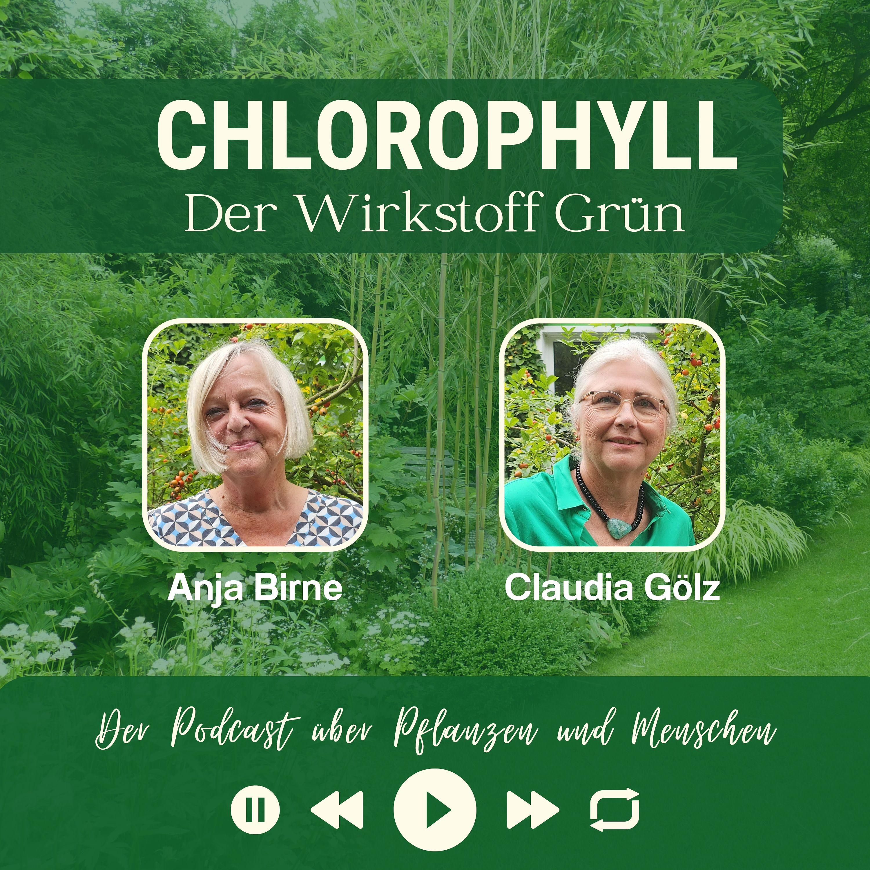 # 41 Anja Birne, Gesellschaft zur Förderung der Gartenkultur