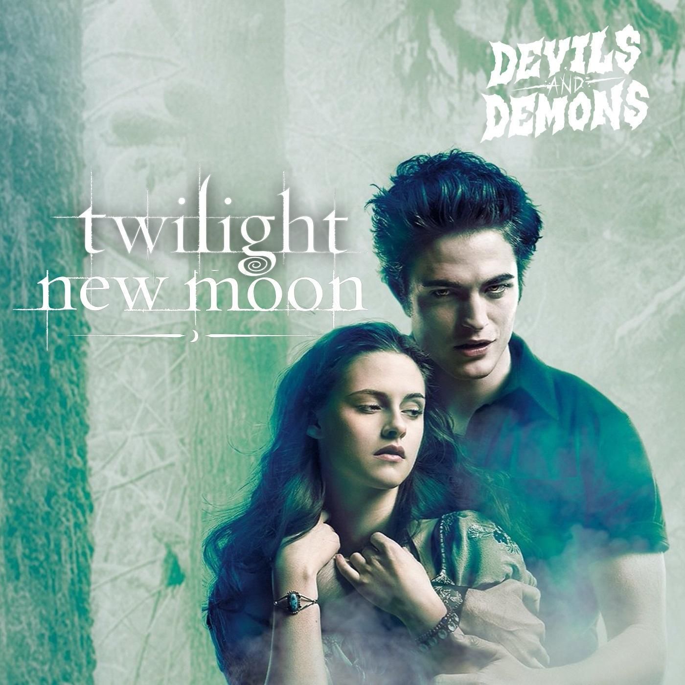 411 Twilight Saga: Twilight und New Moon (2008/2009)