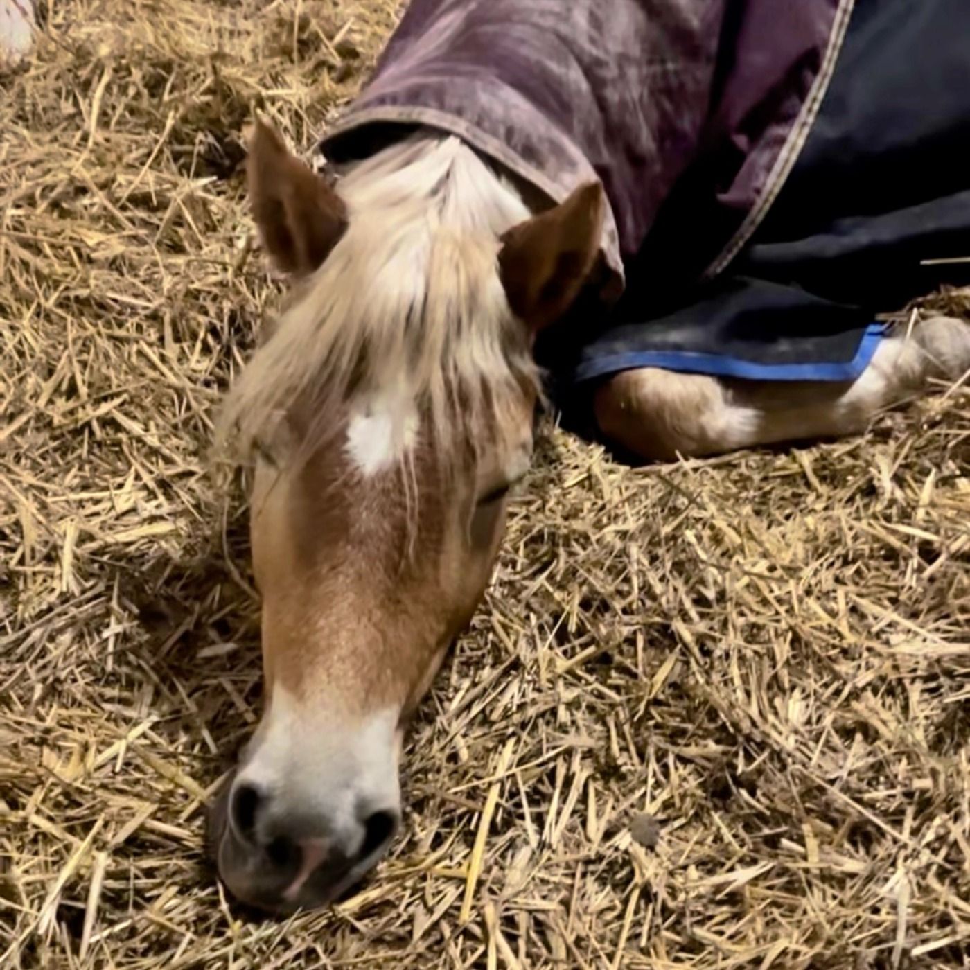 #413 Go with the flow: Antrainieren nach dem Winter