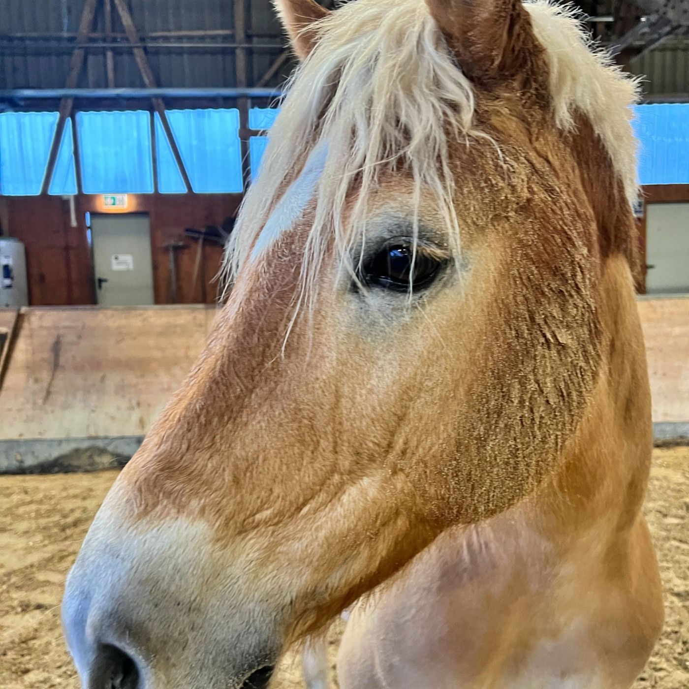 #419 Zwischen Winterblues und Serienwechseln