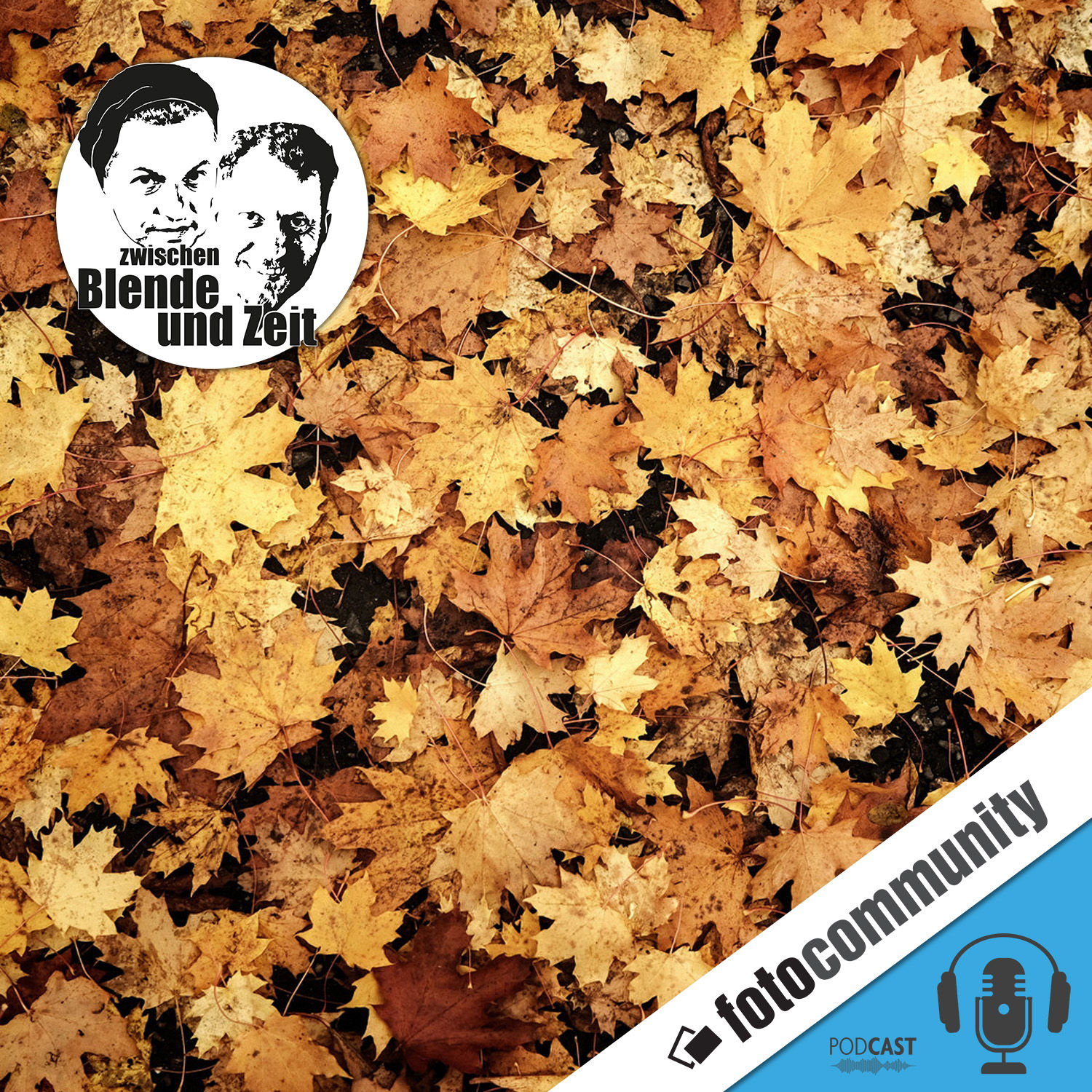 420 - Künstliche Intelligenz: Booster, Bremse – oder beides?