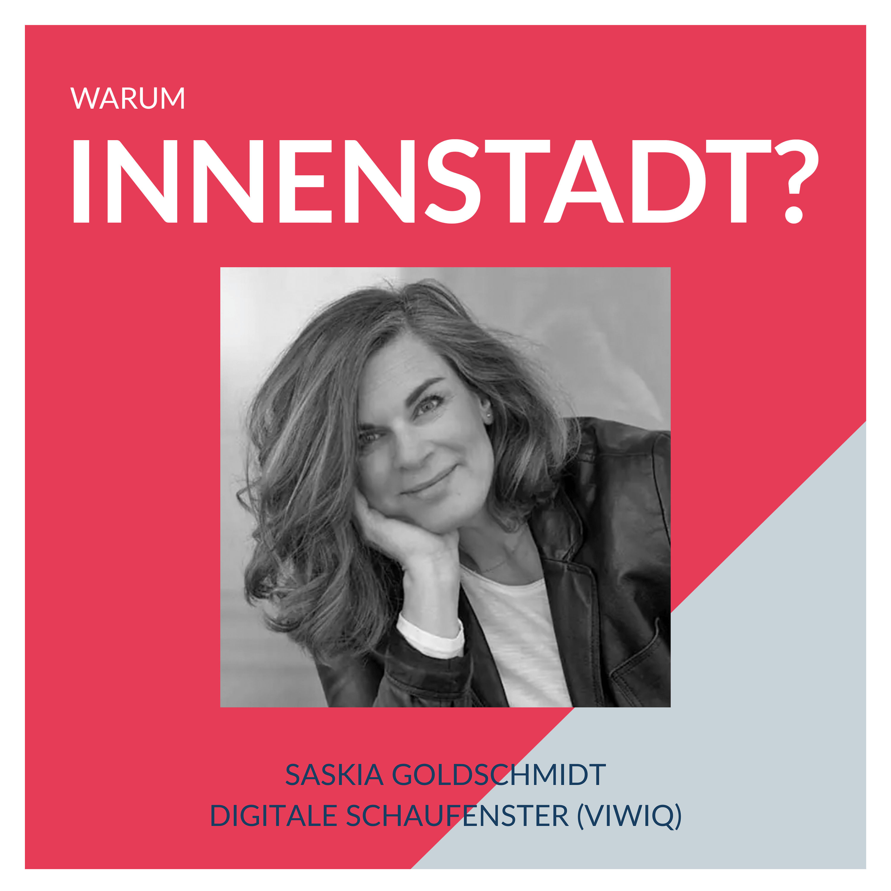 #43 Saskia Goldschmidt - Digitale Schaufenster (Viwiq)