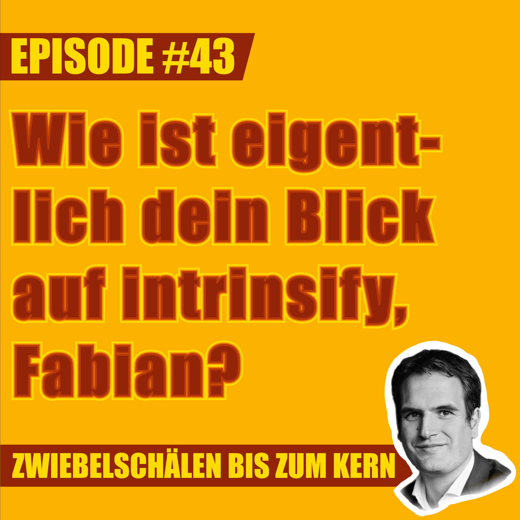 #43 – Wie ist eigentlich dein Blick auf intrinsify, Fabian?