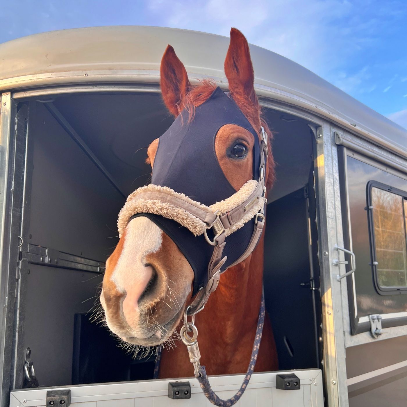 #434 Wer hat Angst vorm Stangentrecker?