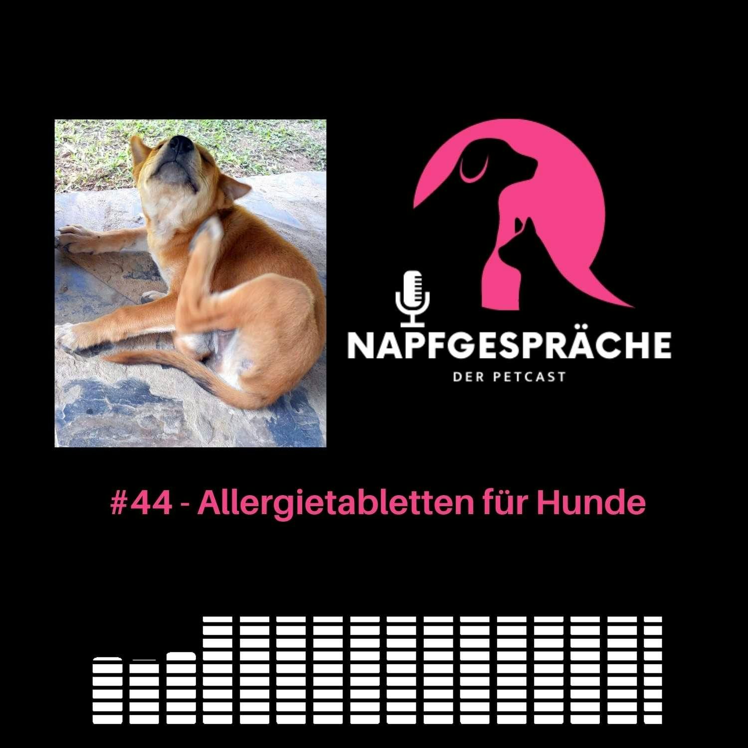 #44 - Allergietabletten für Hunde