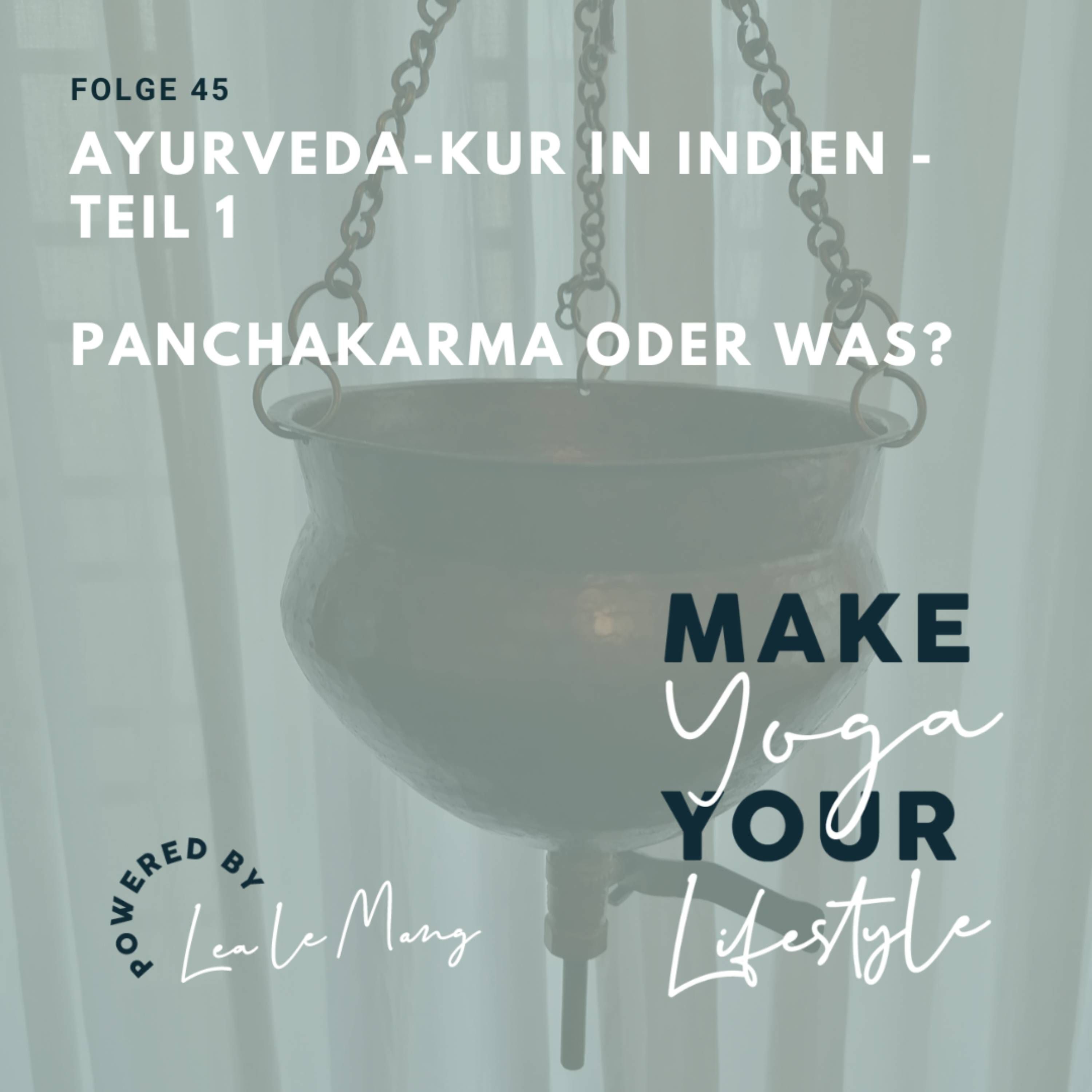 45 - Ayurveda-Kur in Indien – Panchakarma oder was?