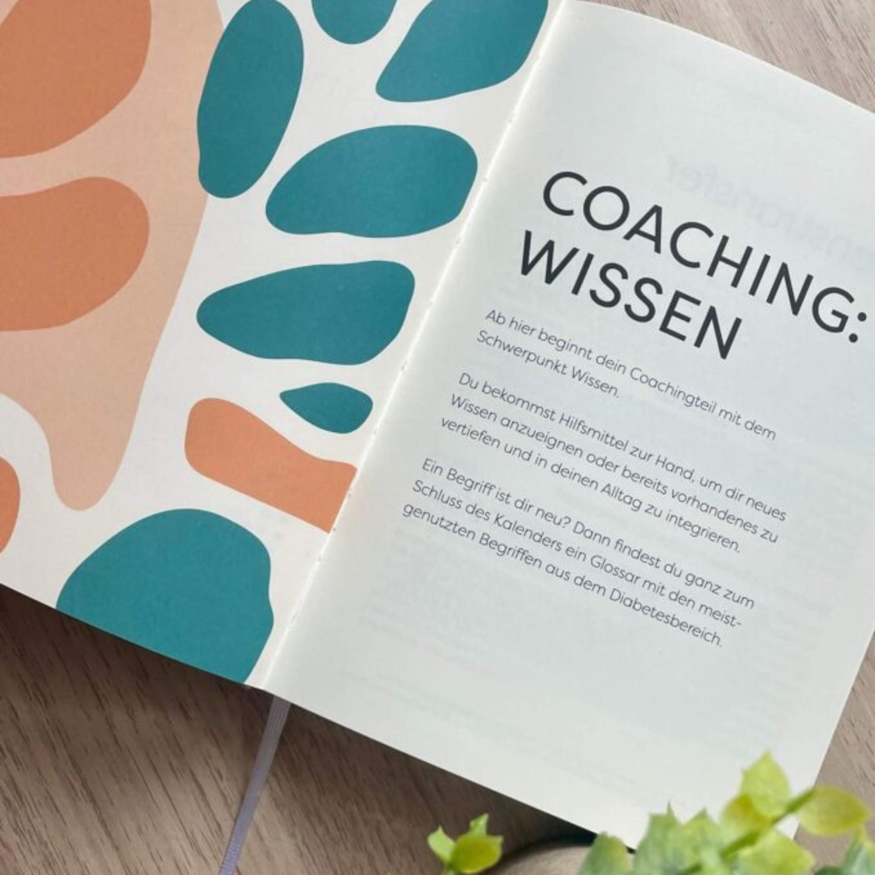 453 - Diabetes Tagebuch & mentale Stärke – Warum Dokumentation dein Typ 1 Management rettet