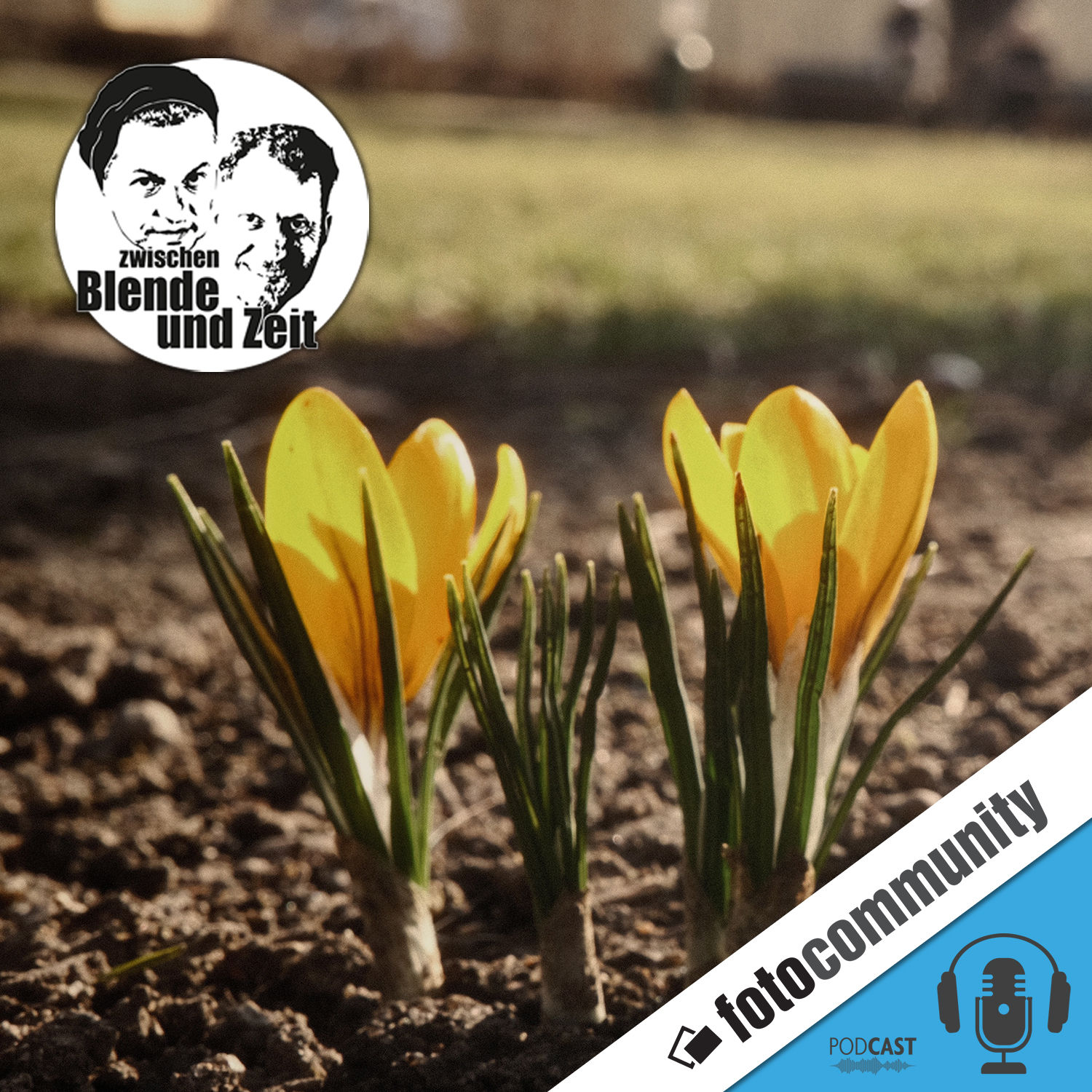 459 - Rausgehen, hinschauen, fotografieren – warum der Frühling unsere Wahrnehmung wieder öffnet