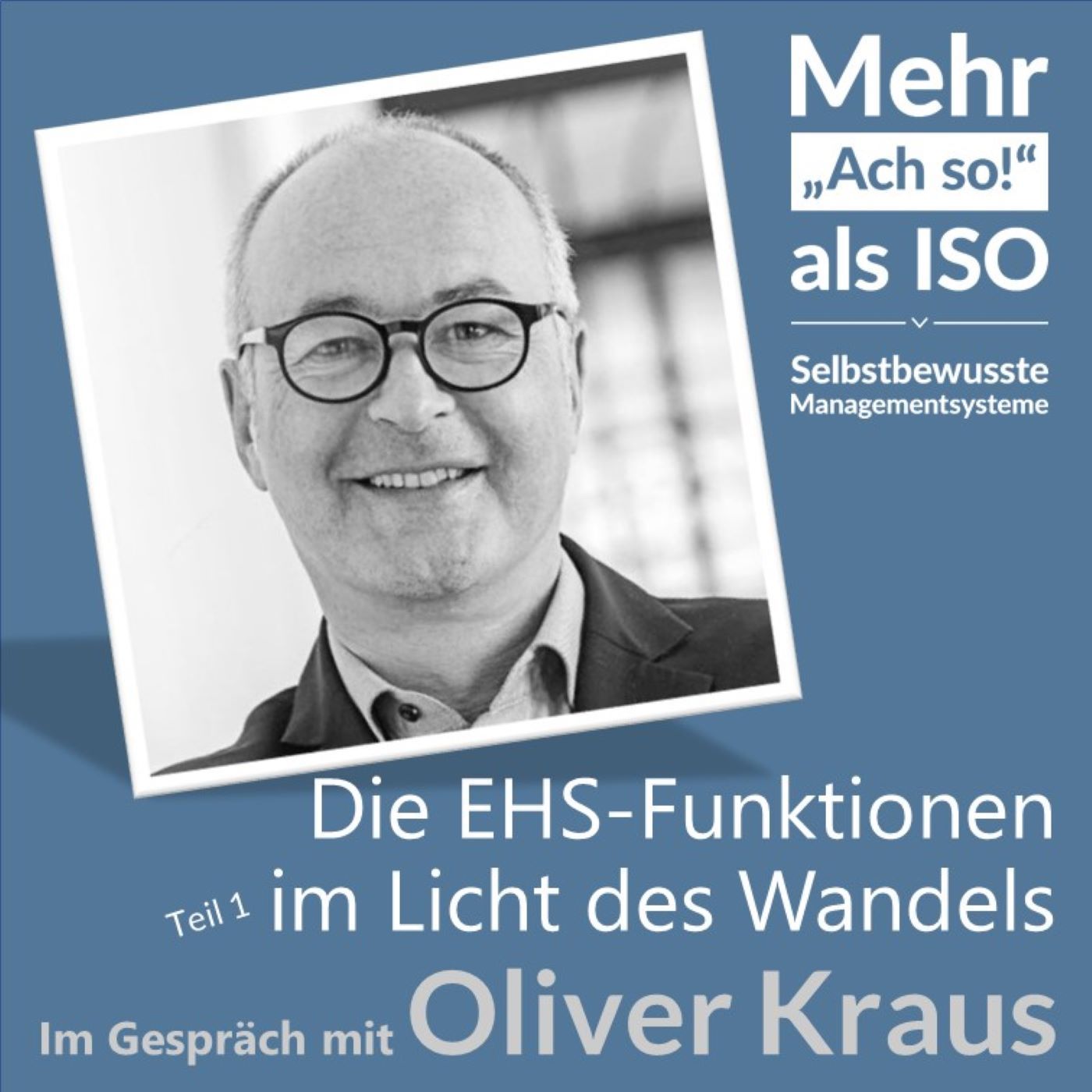 46 Die EHS-Funktionen im Licht des Wandels - Mehr als Beratung... (Teil 1)