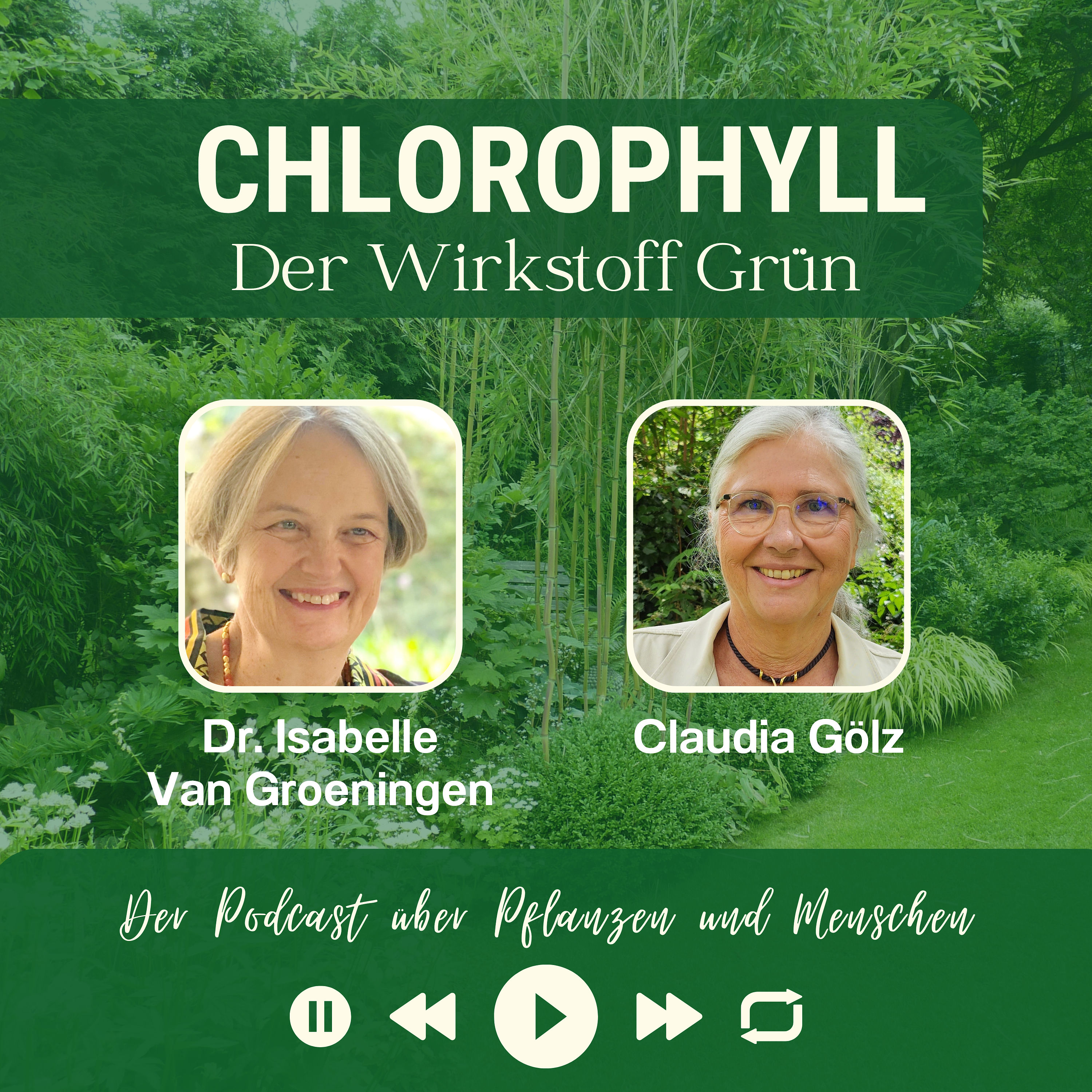 #46 - Dr. Isabelle Van Groeningen