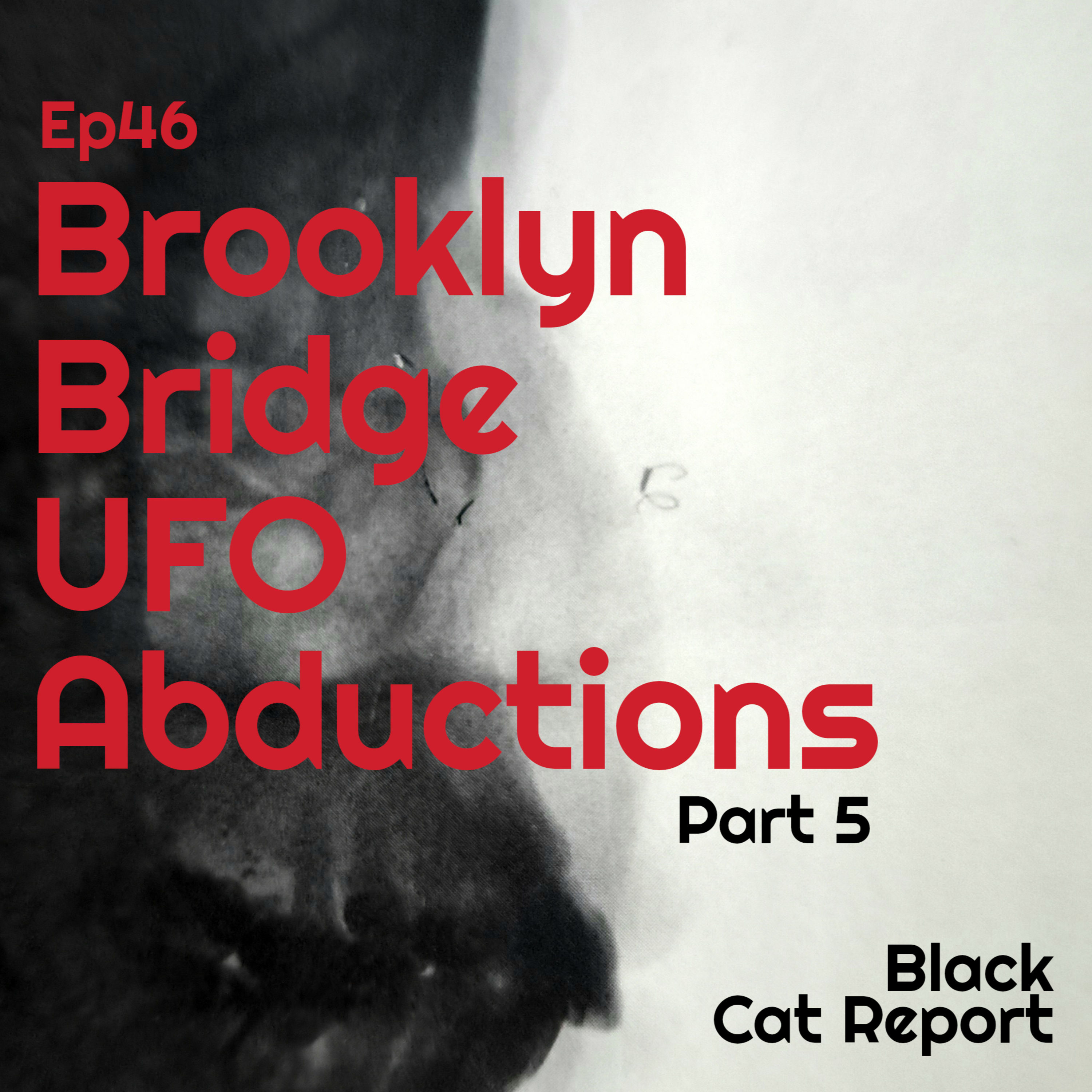 46 | Pt 5 | The Brooklyn Bridge UFO Abductions - (Conclusion)