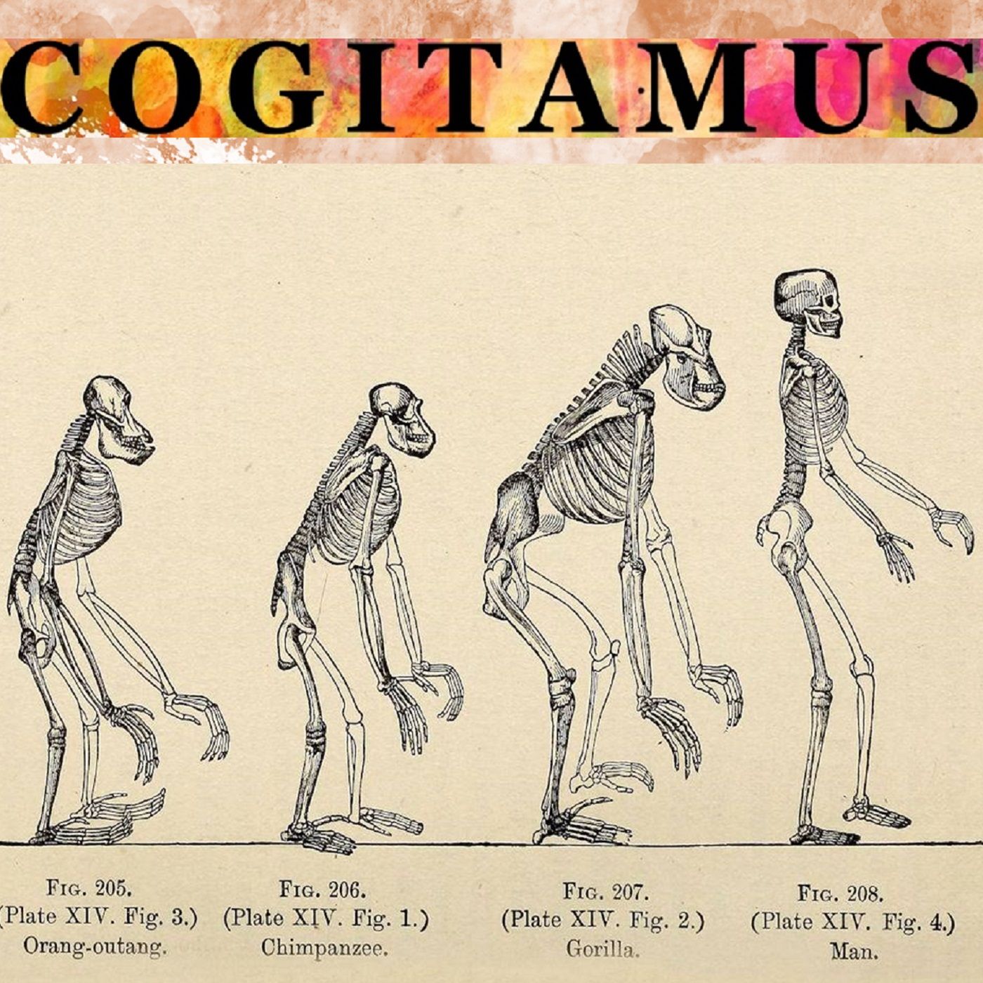 #46 - Was macht uns Menschen aus? | Abschlussfolge Existenz & Sprache