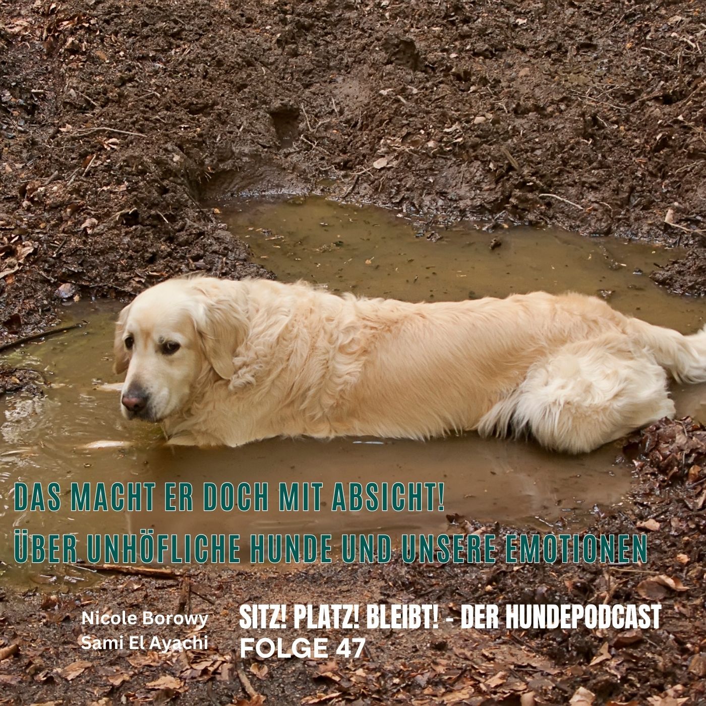 #47 Das macht der doch mit Absicht! – Über unhöfliche Hunde und unsere eigenen Emotionen