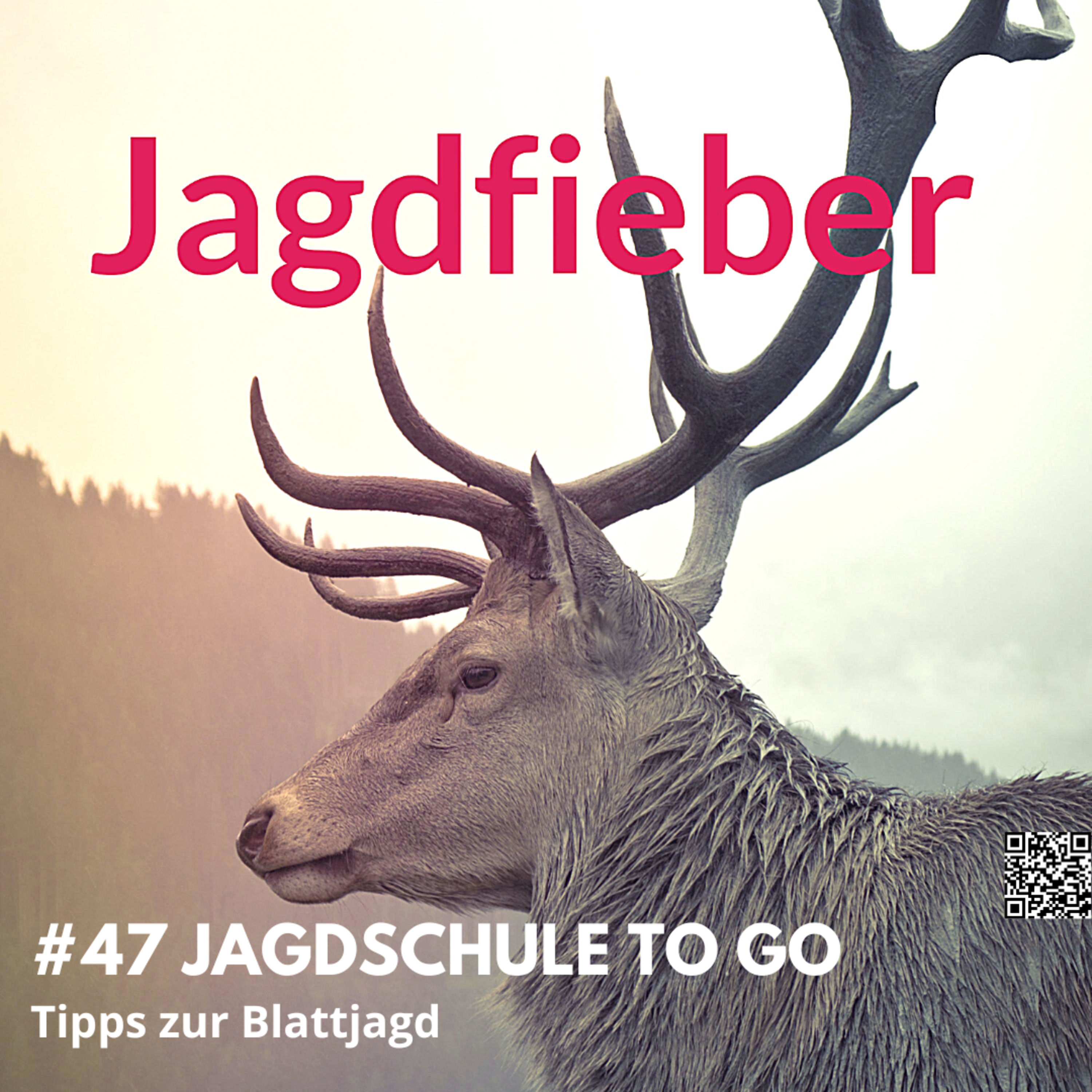 #47 Jagdschule to go Tipps zur Blattjagd #Jagdfieber #jagdpodcast #jagdschule #sachsenjägerin #jagdfieberpodcast #blattjagd # jagdschuletogo #Rehbrunft #blatten #rehwild #brunft