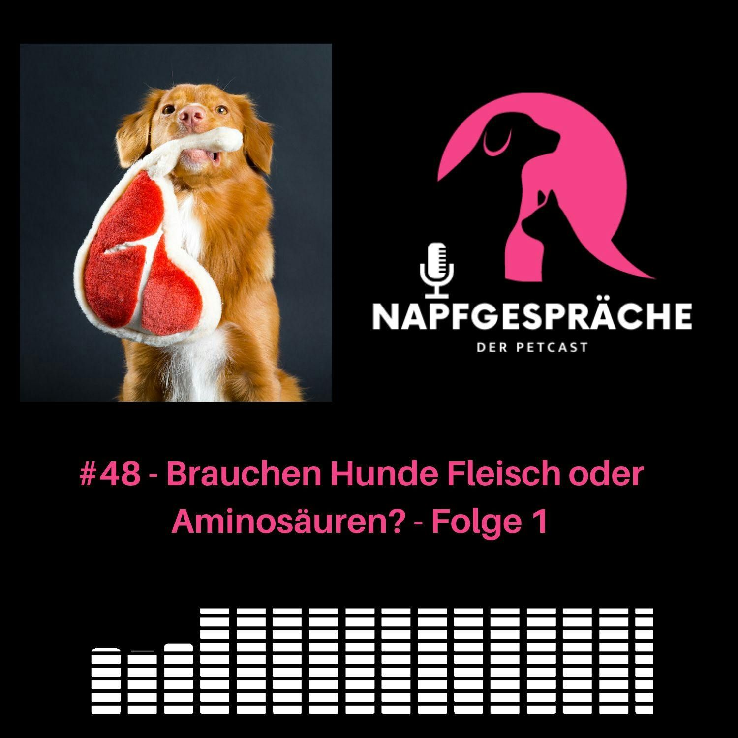 #48 - Braucht ein Hund Fleisch oder Aminosäuren? Folge 1 von 6