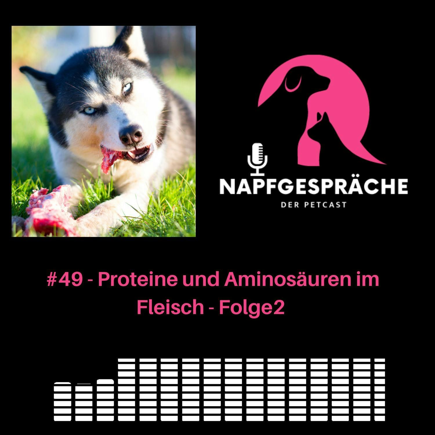 #49 - Proteine und Aminosäuren im Fleisch - Folge 2 v. 6