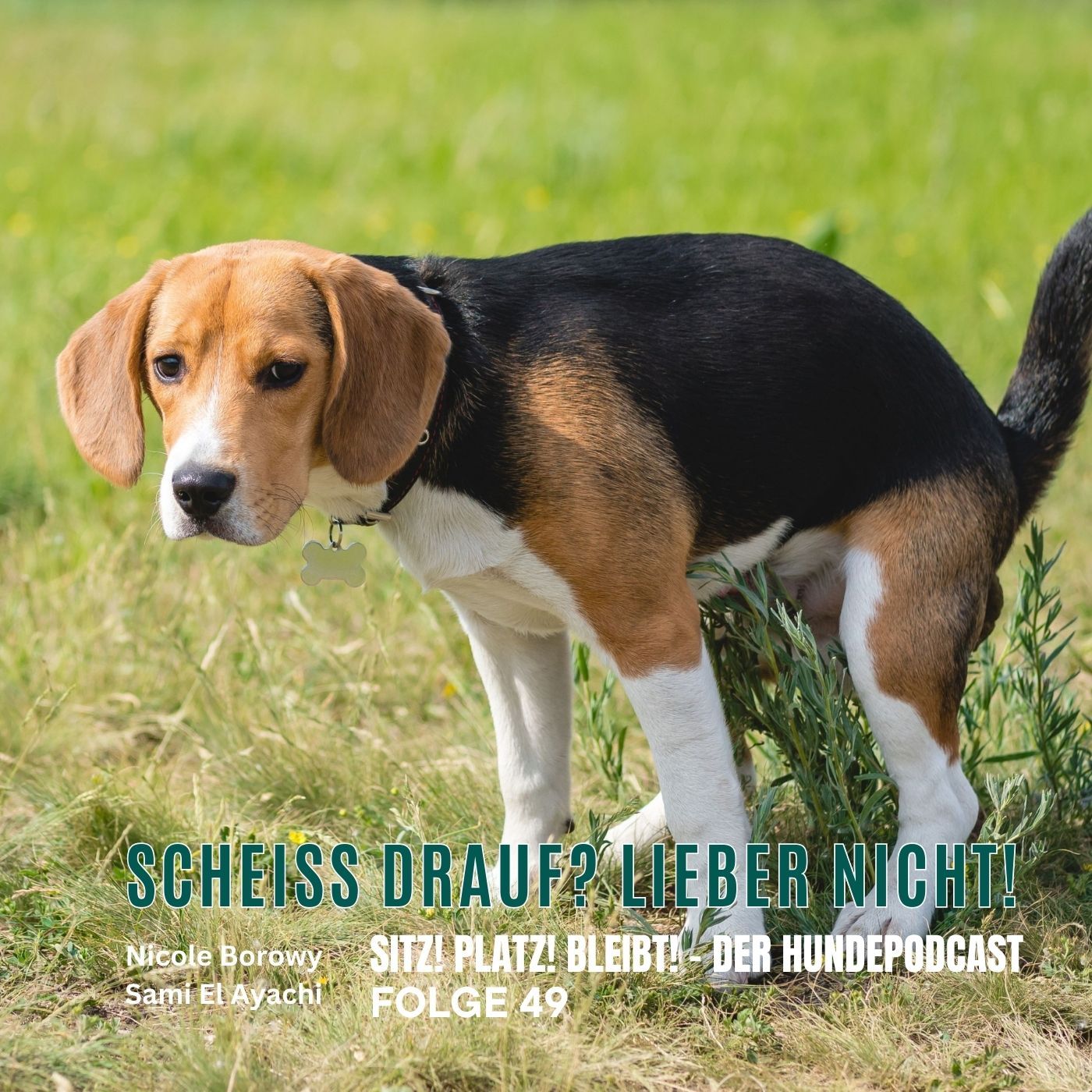 #49 Scheiß drauf? Lieber nicht! Kot in der Natur – Mythen, Risiken und Verantwortung