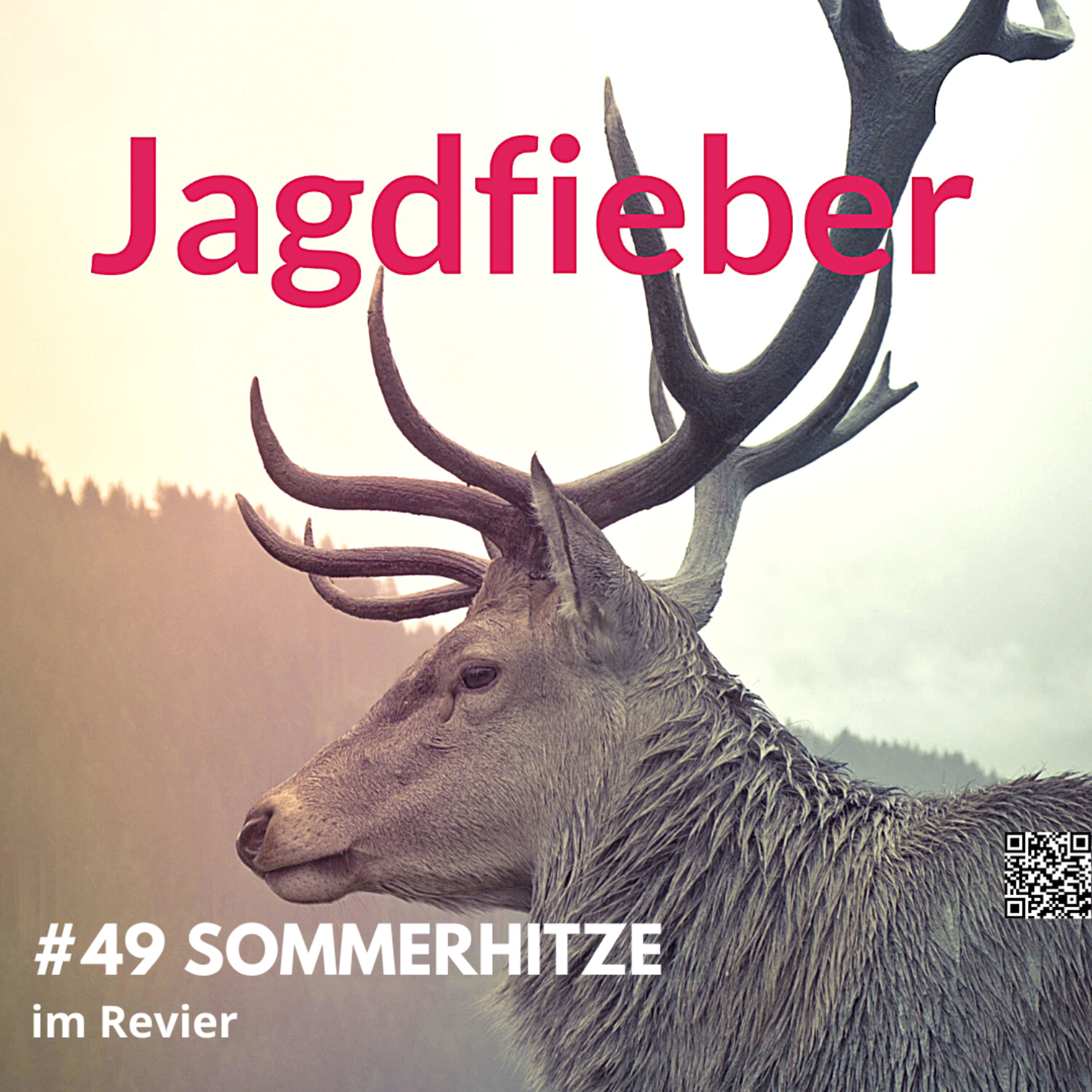 #49 Sommerhitze im Revier #Jagdfieber #jagdpodcast #jagdschule #sachsenjägerin #jagdfieberpodcast #hege # jagdschuletogo #sommer