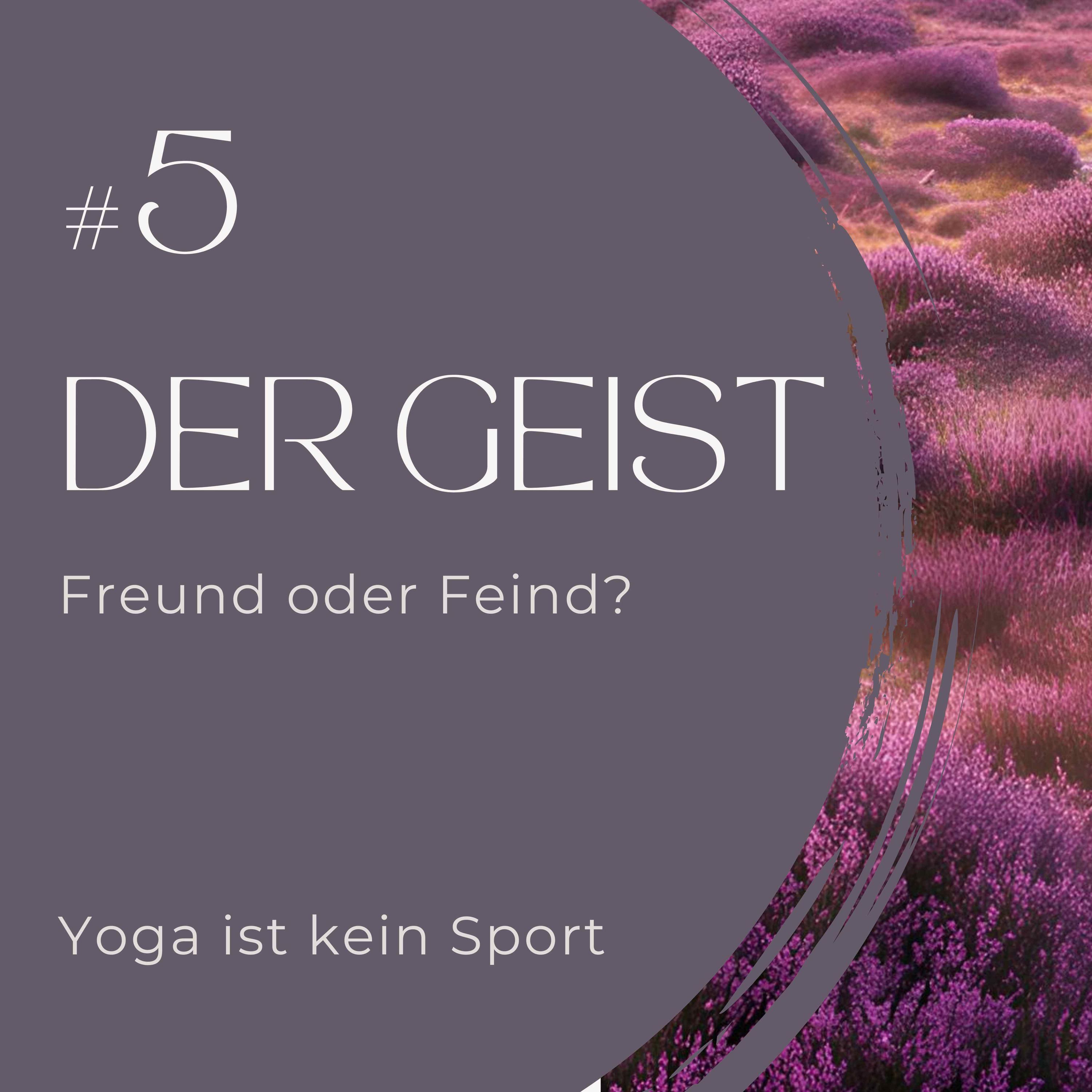 #5 Der Geist - Freund oder Feind?