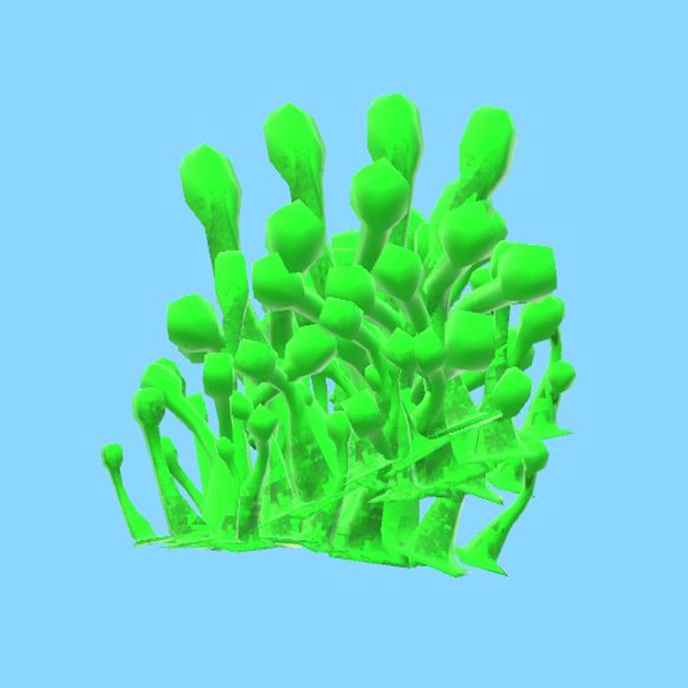 5 - Die Grüne-Verwandlungs-Zauberkoralle