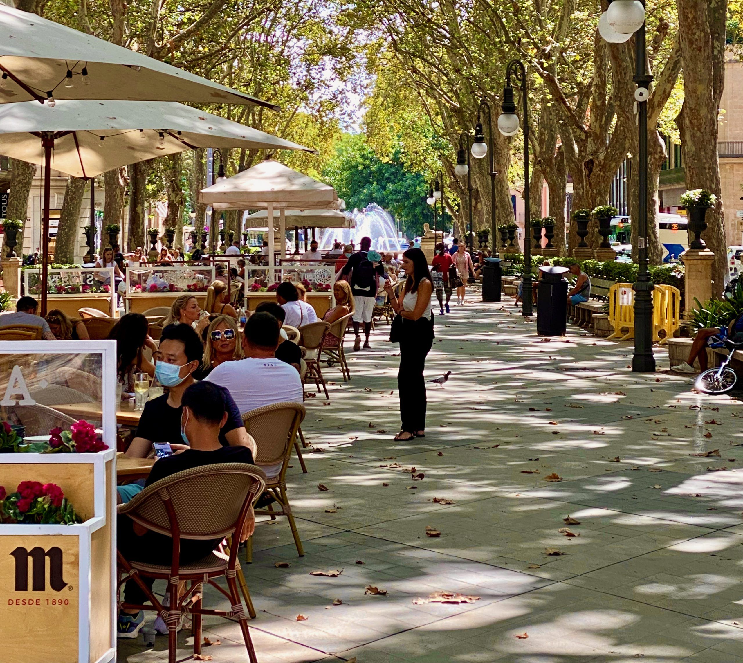 5 Minuten Mallorca | Nachrichten am 23. Juli 2025