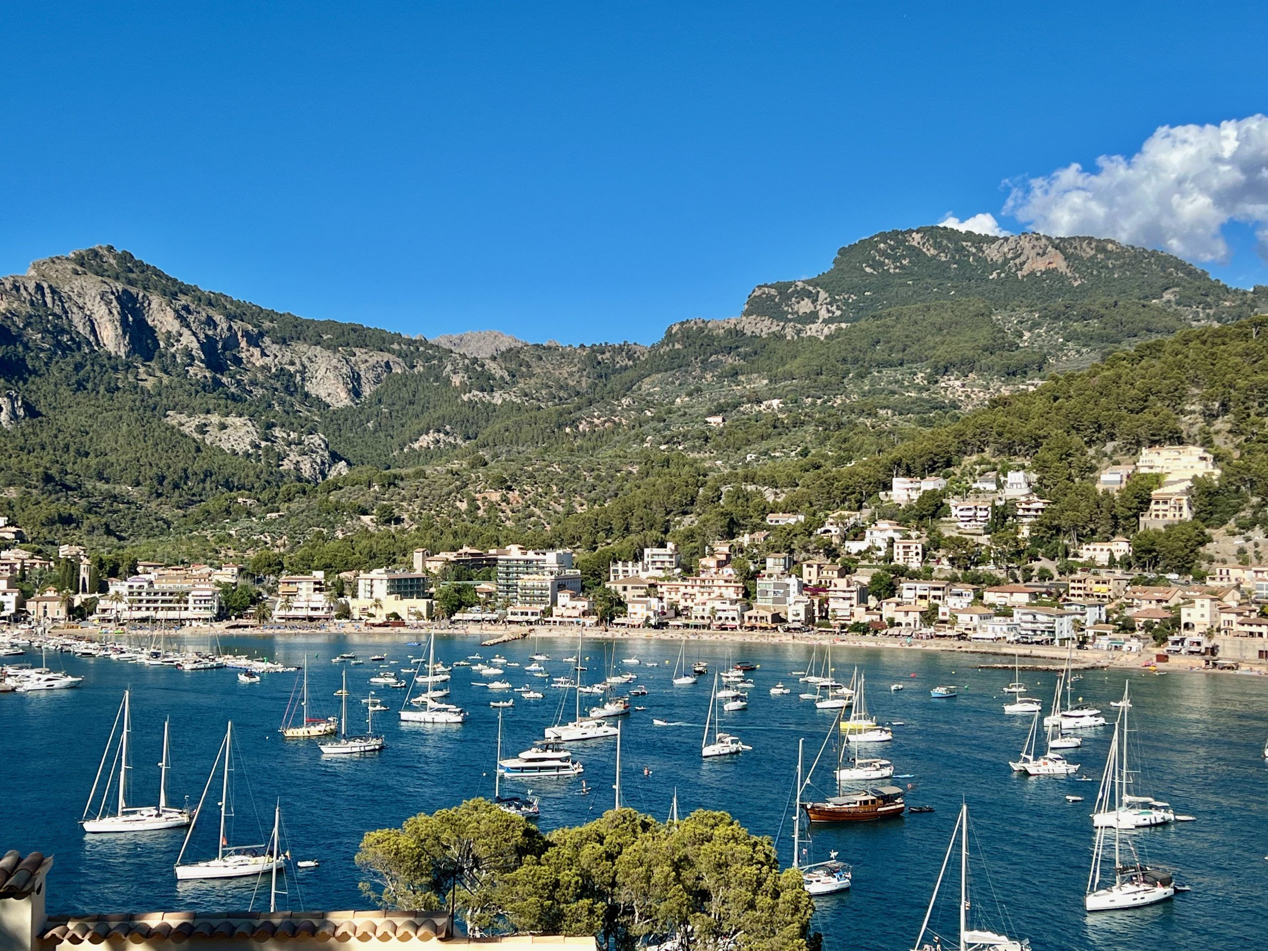 5 Minuten Mallorca |&nbsp;Nachrichten am 10. Januar 2026